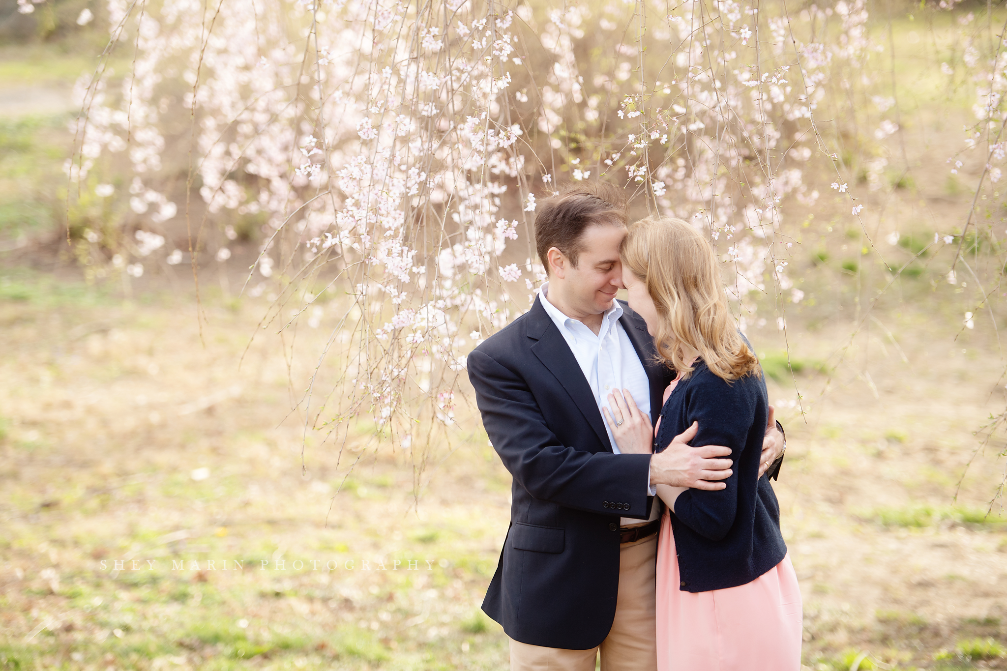 Spring cherry blossom family photosession Washington DC