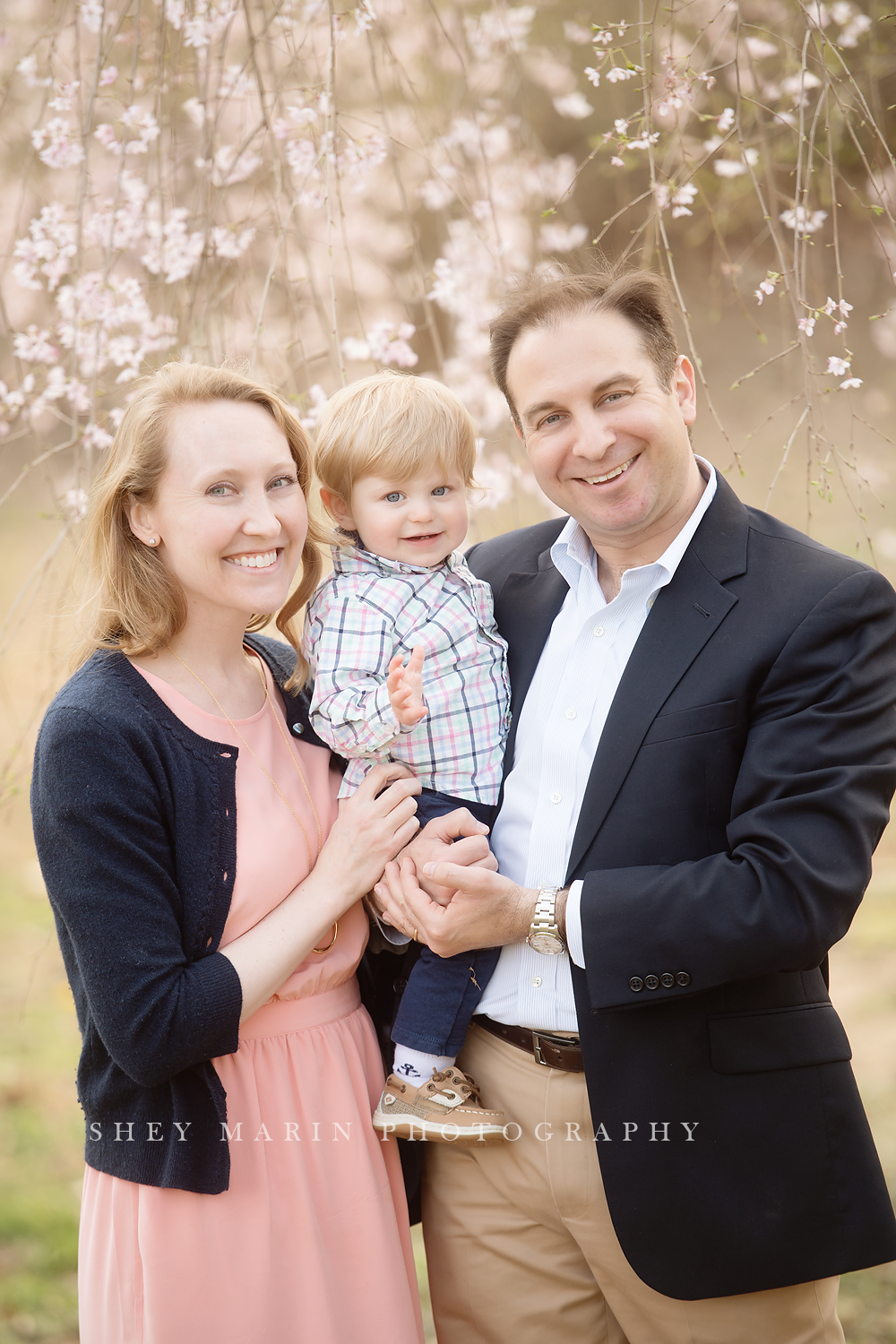 Spring cherry blossom family photosession Washington DC