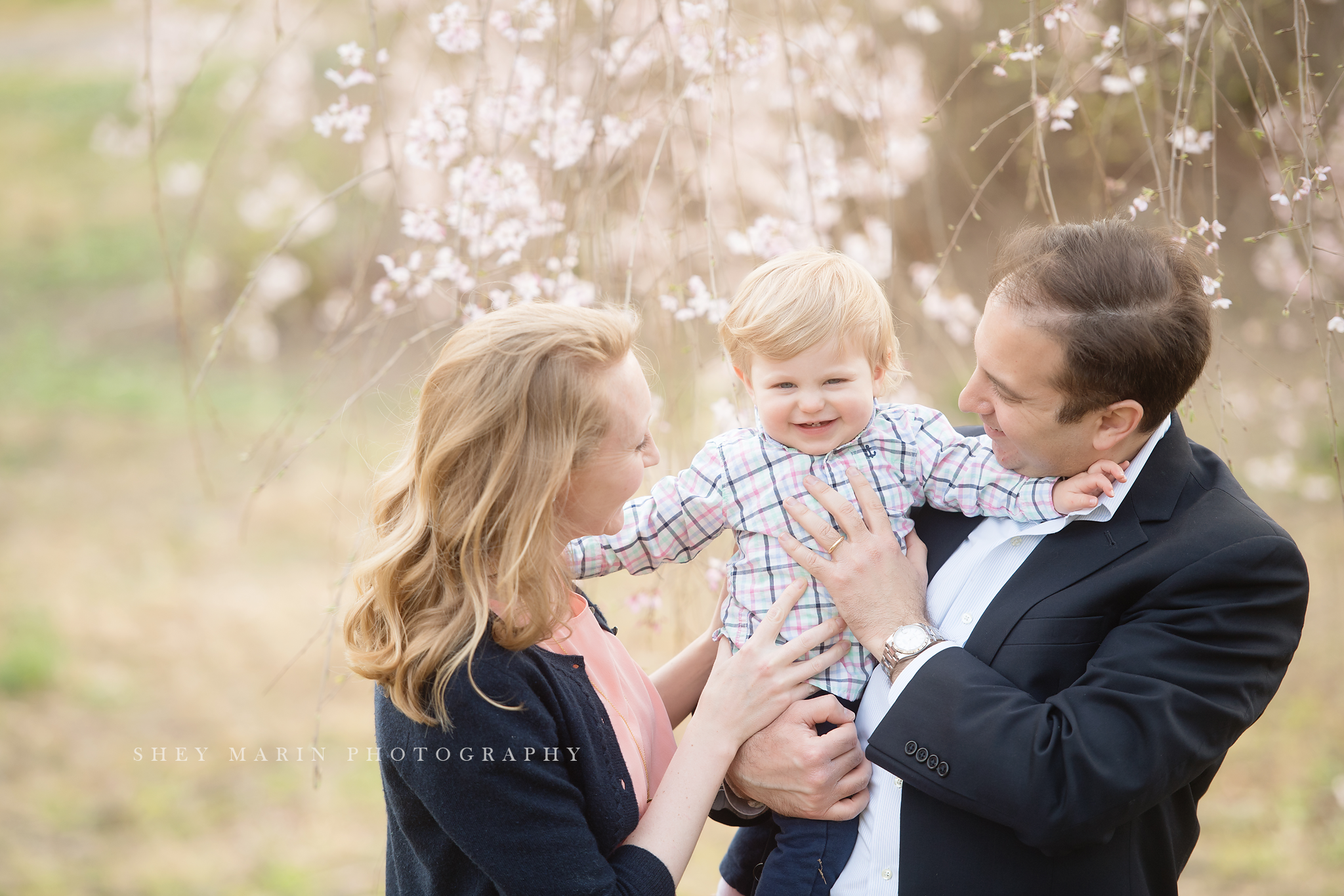 Spring cherry blossom family photosession Washington DC