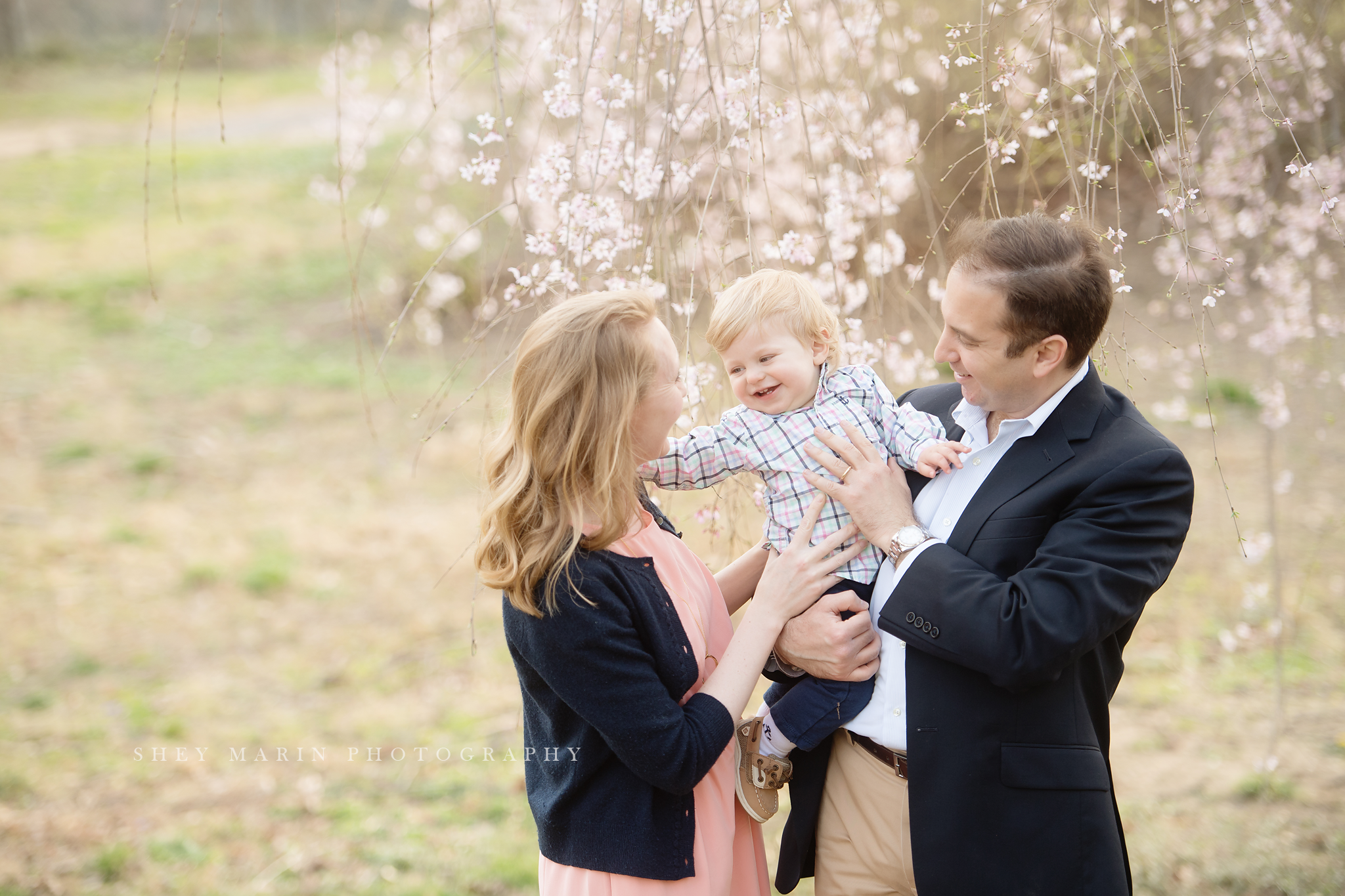 Spring cherry blossom family photosession Washington DC