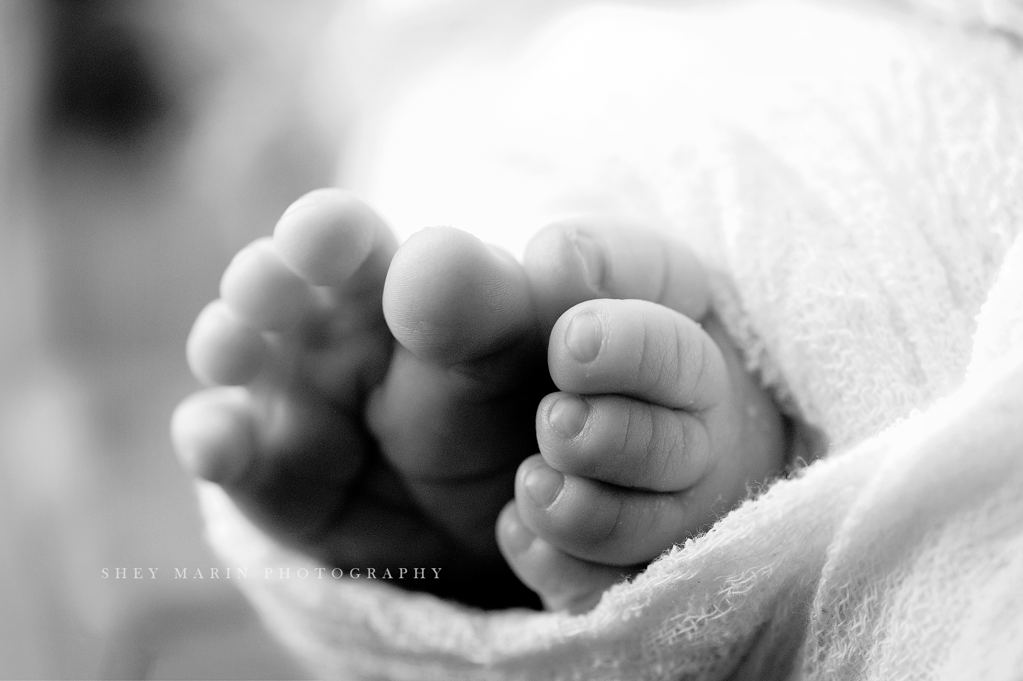 macro newborn baby photography