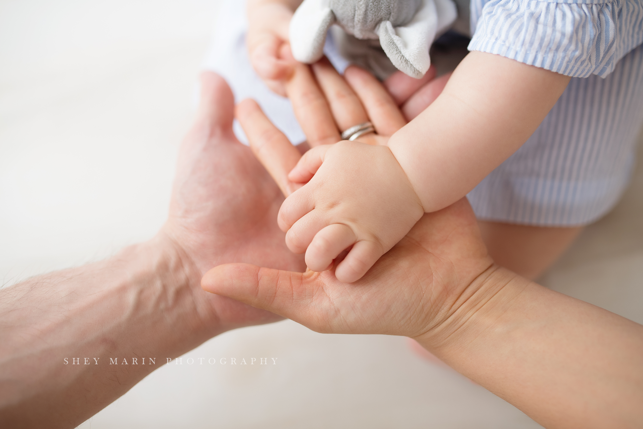 milestone sitter Frederick Maryland photographer