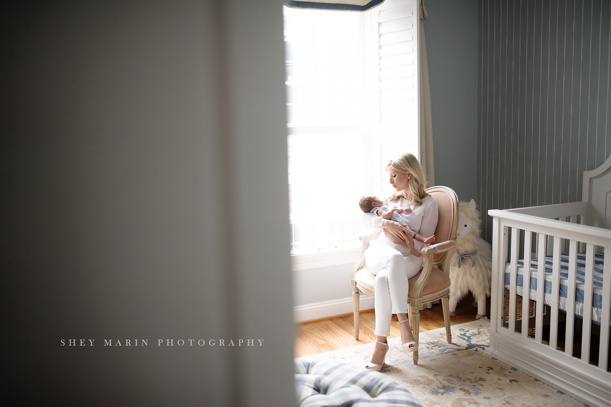 lifestyle newborn portraits Washington DC