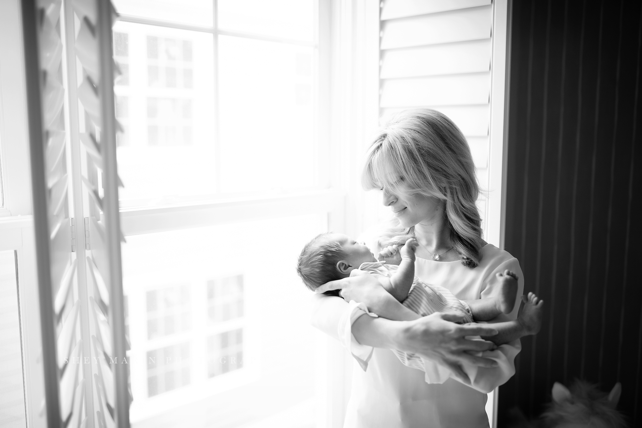 lifestyle newborn portraits Washington DC