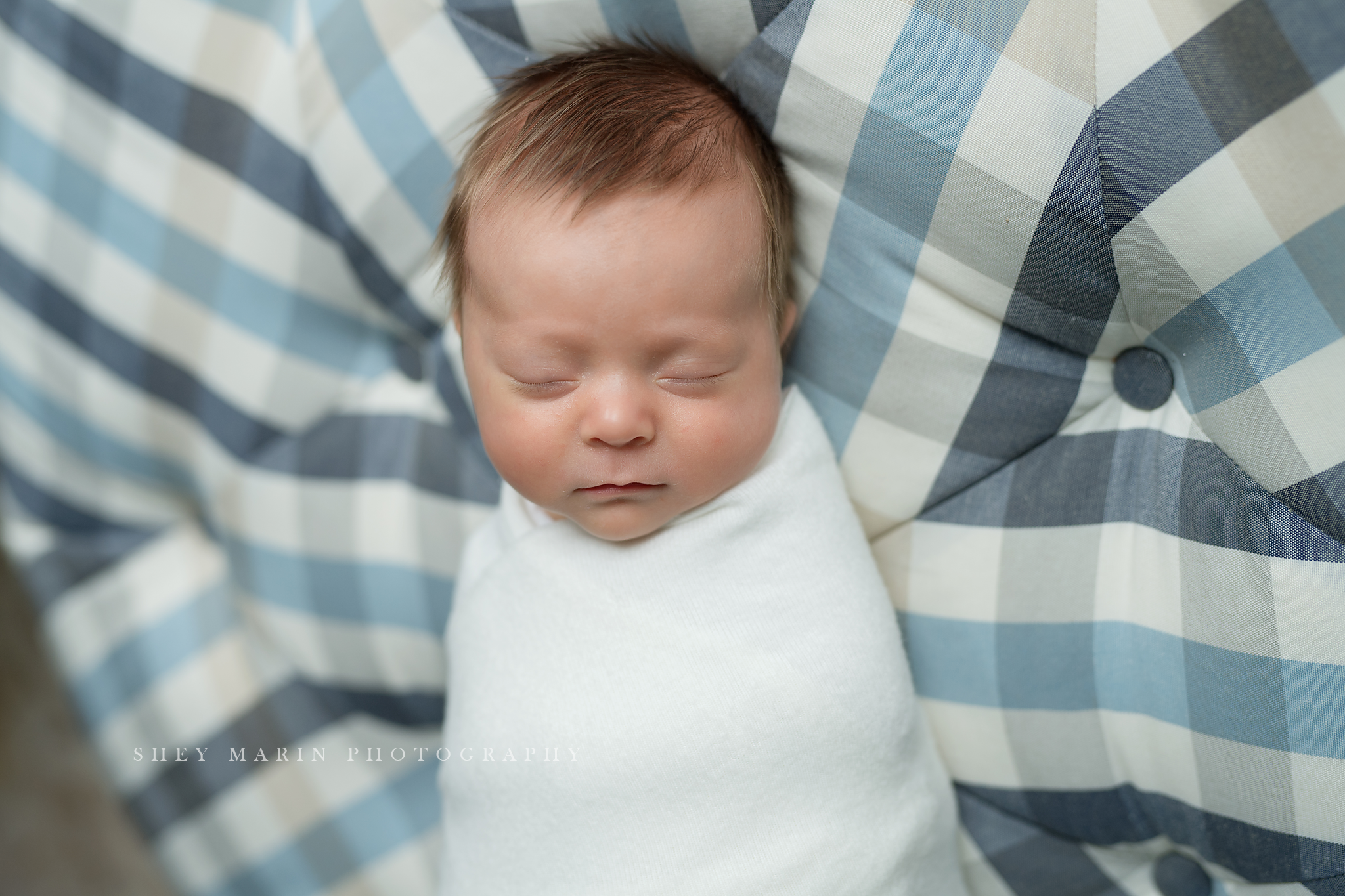 lifestyle newborn portraits Washington DC