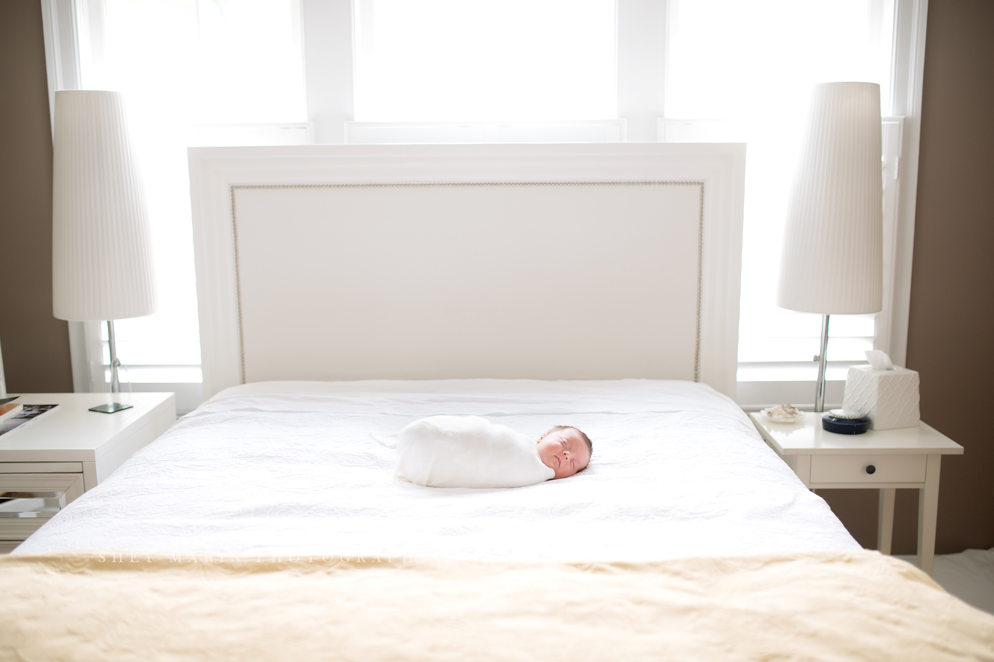 lifestyle newborn portraits Washington DC