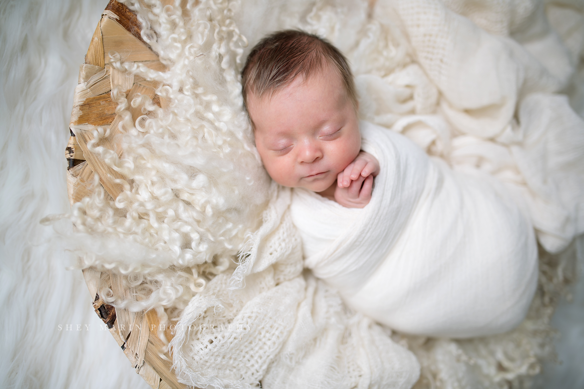 lifestyle newborn portraits Washington DC