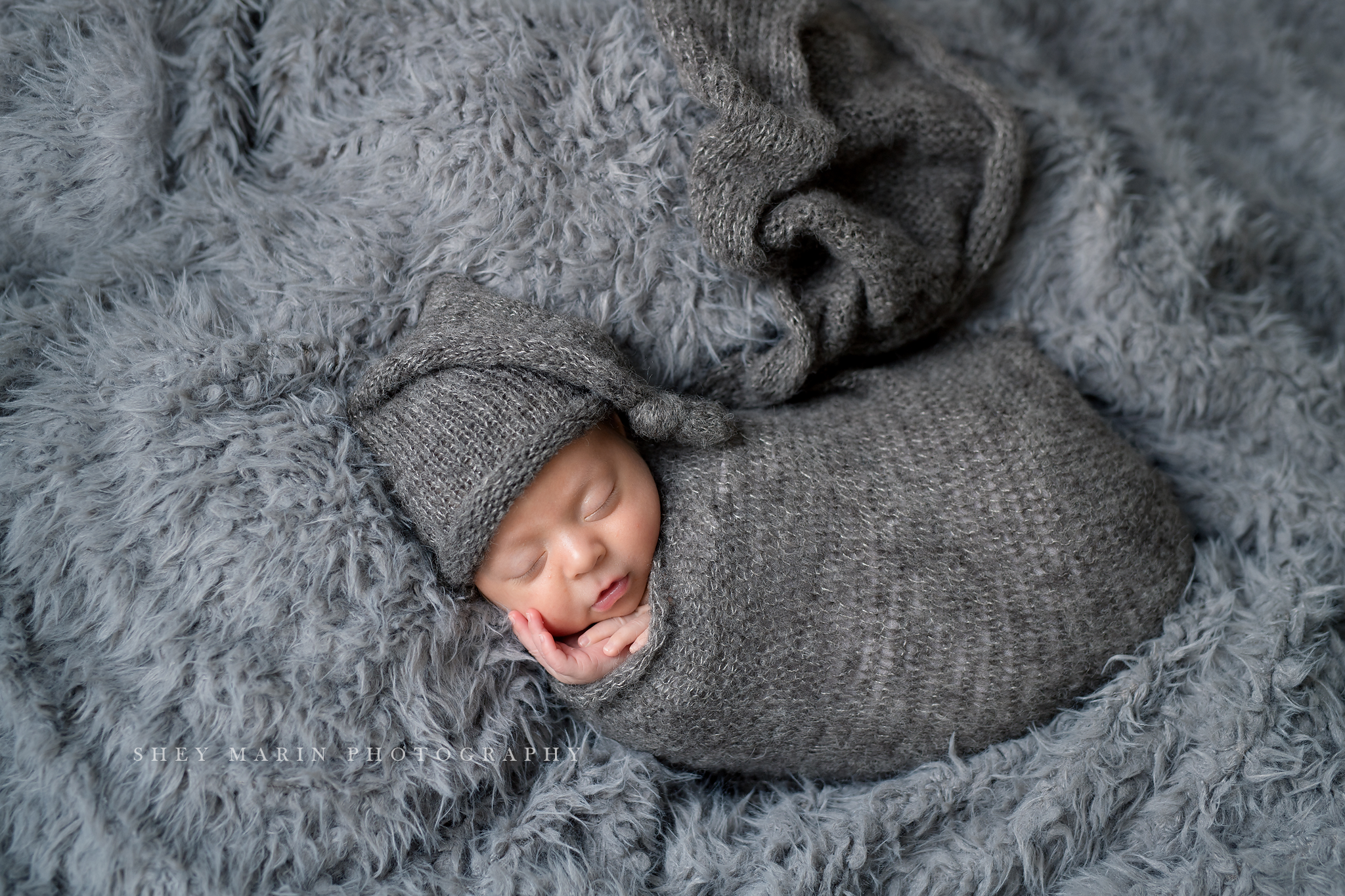 lifestyle newborn portraits Washington DC