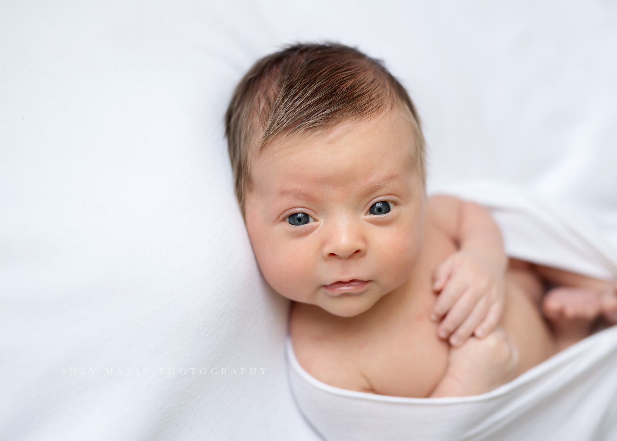 lifestyle newborn portraits Washington DC