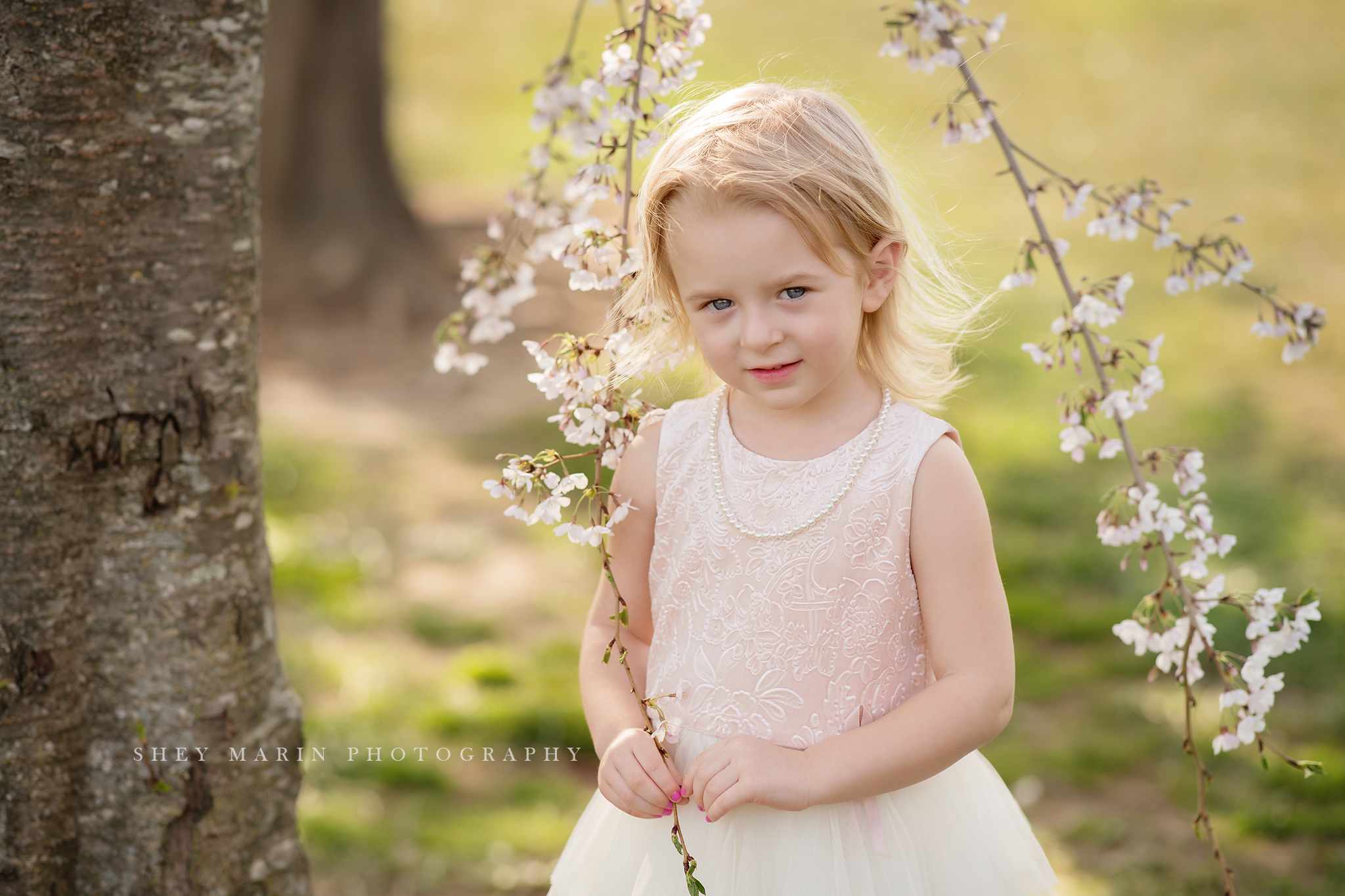 April blossoms Frederick cherry tree sessions