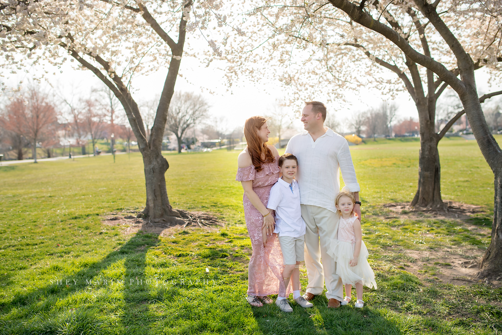 April blossoms Frederick cherry tree sessions