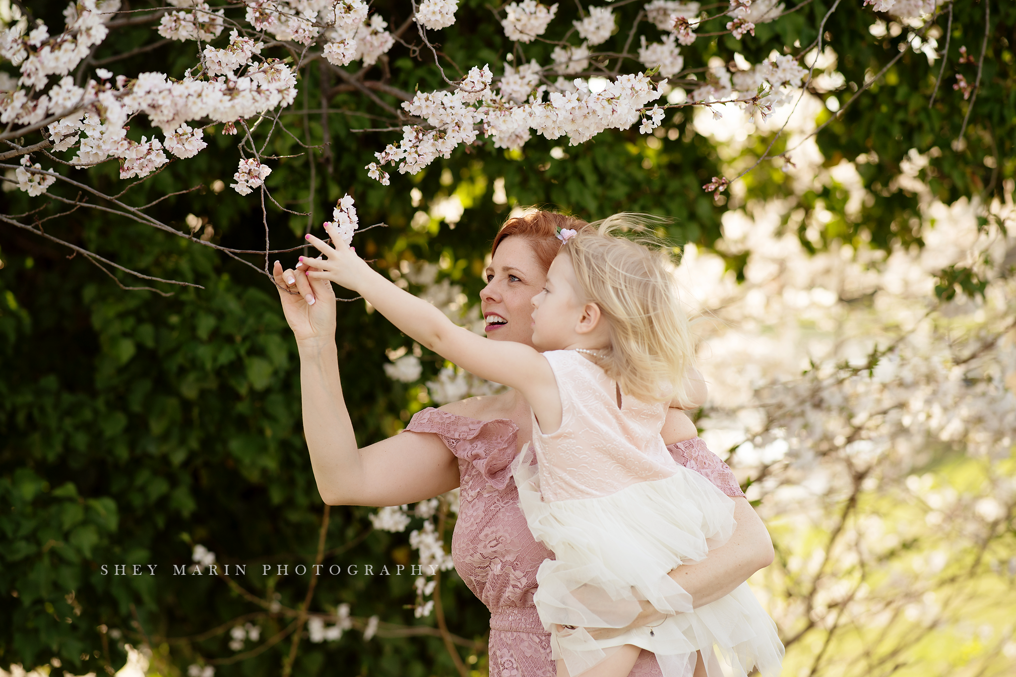 April blossoms Frederick cherry tree sessions