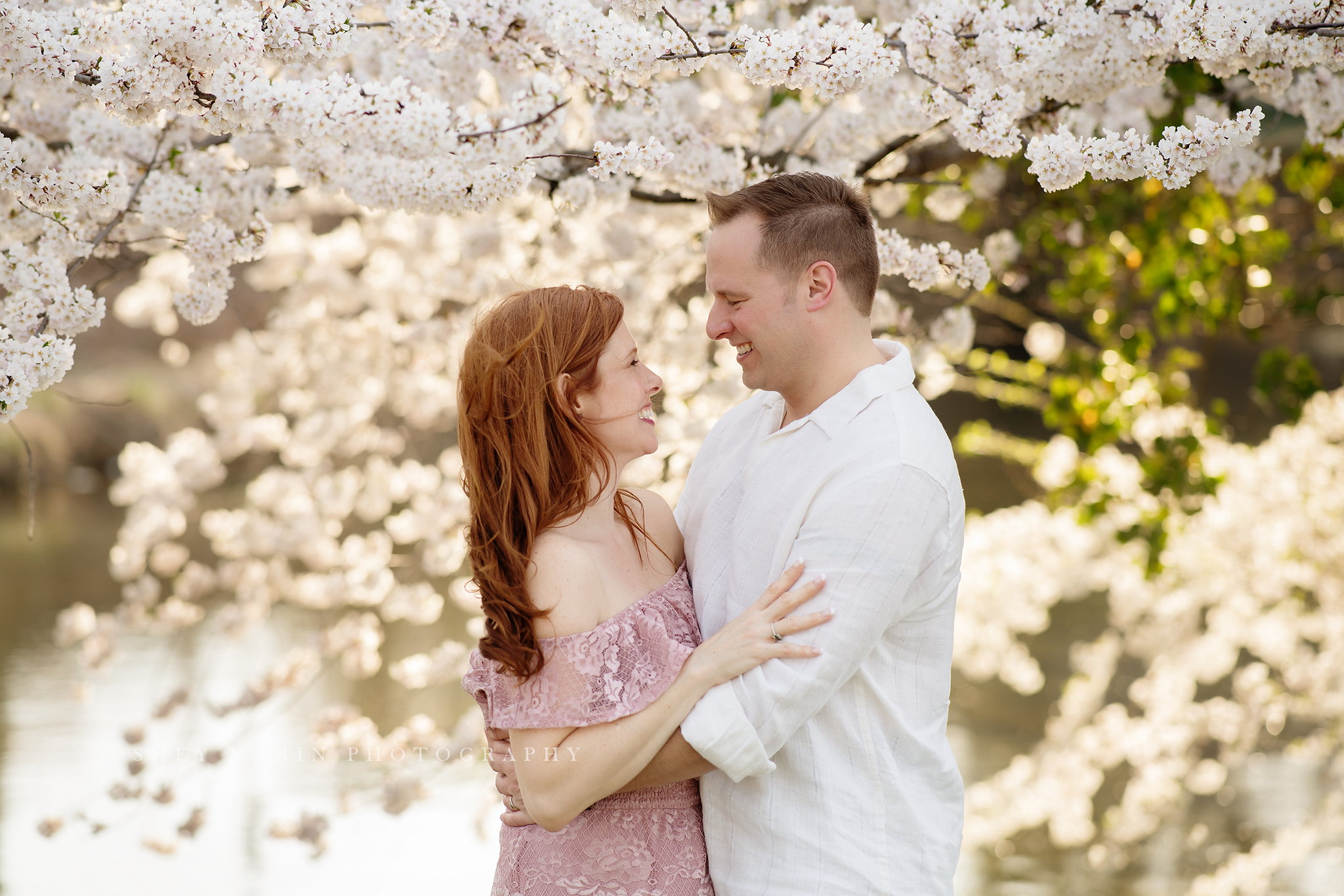 April blossoms Frederick cherry tree sessions