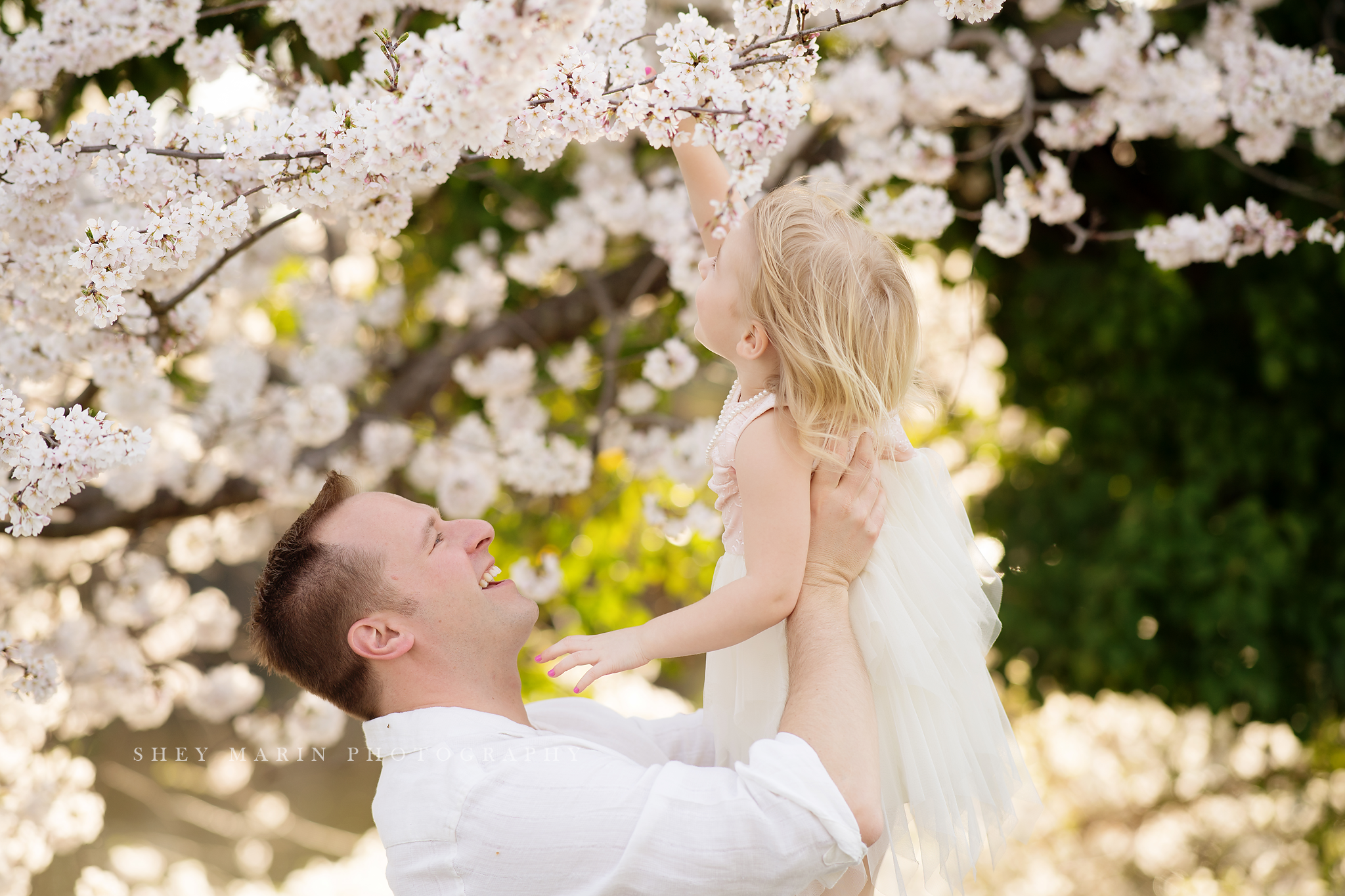 April blossoms Frederick cherry tree sessions