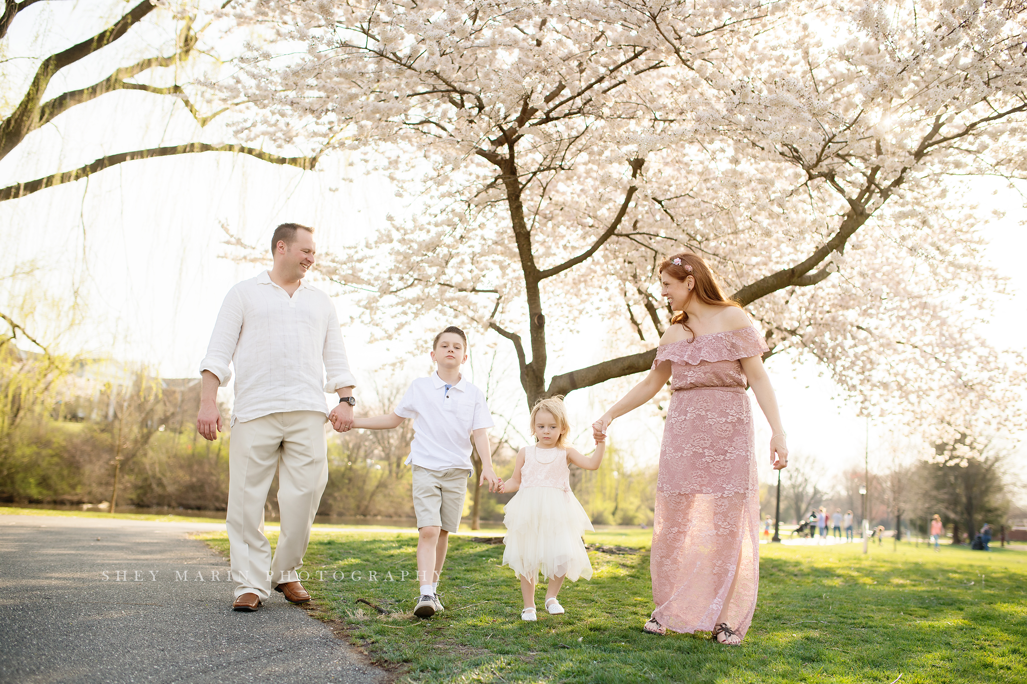 April blossoms Frederick cherry tree sessions