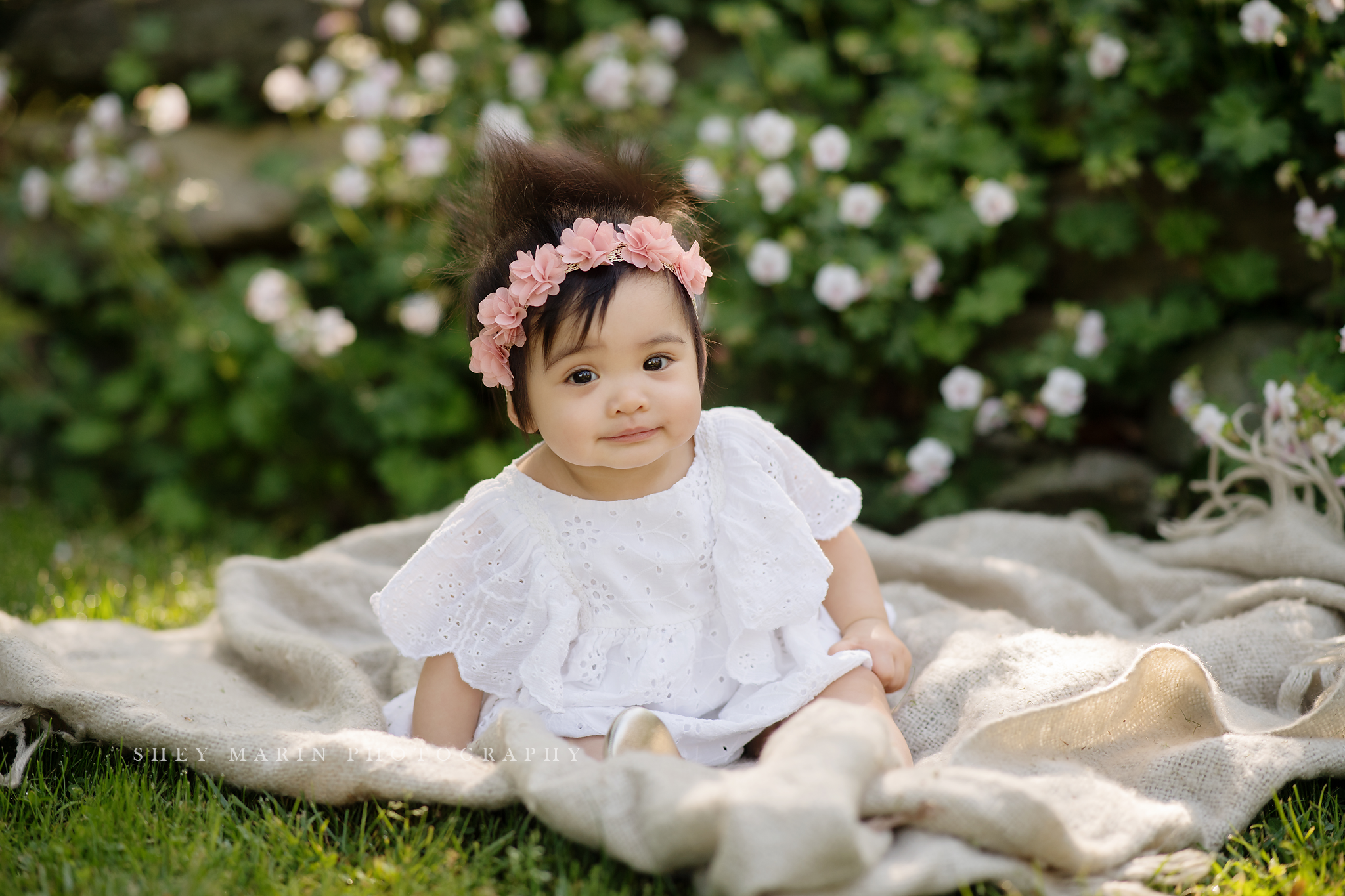 first birthday baby photographer frederick md