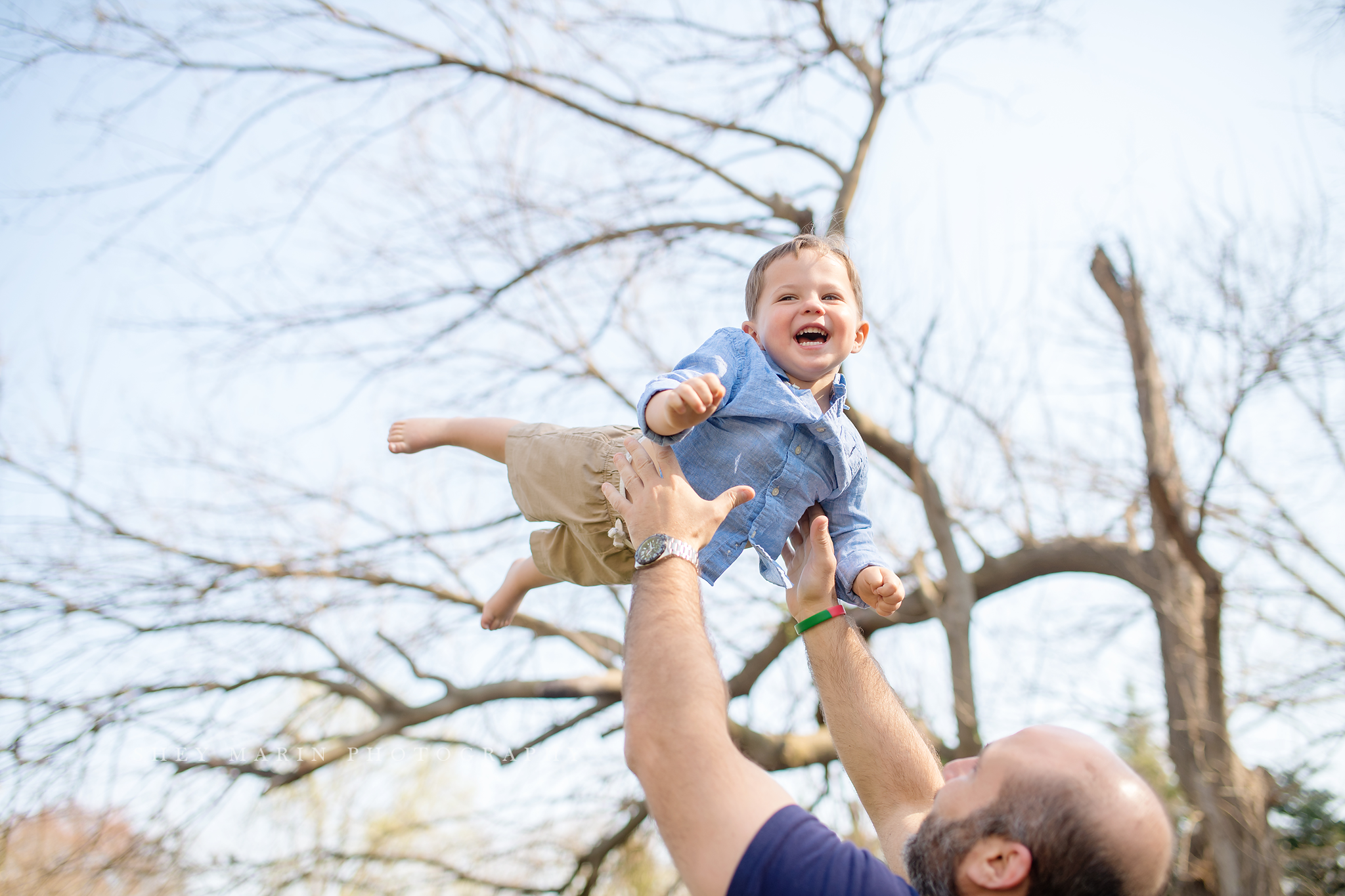 two year old family DC photo session