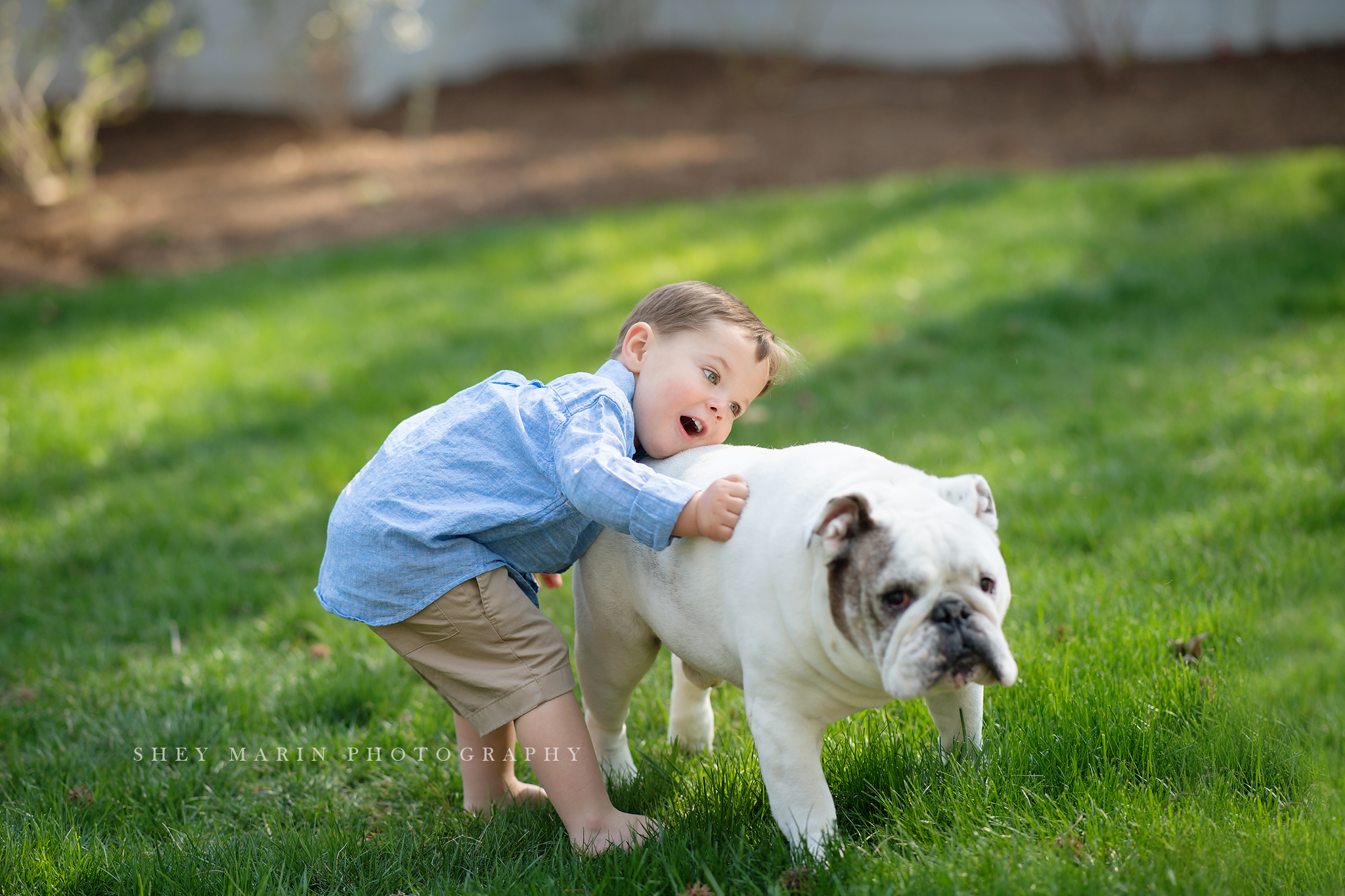 two year old family DC photo session