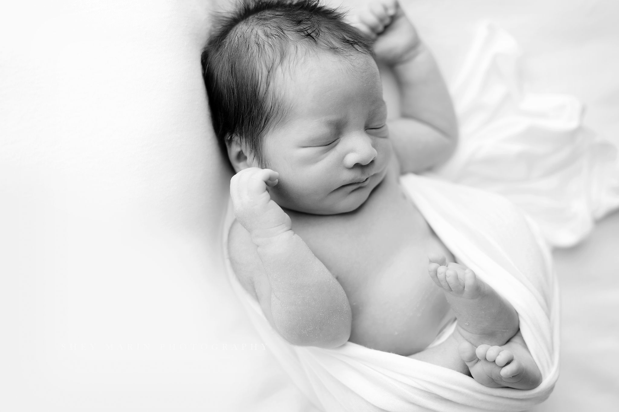 Frederick Maryland newborn baby photo session