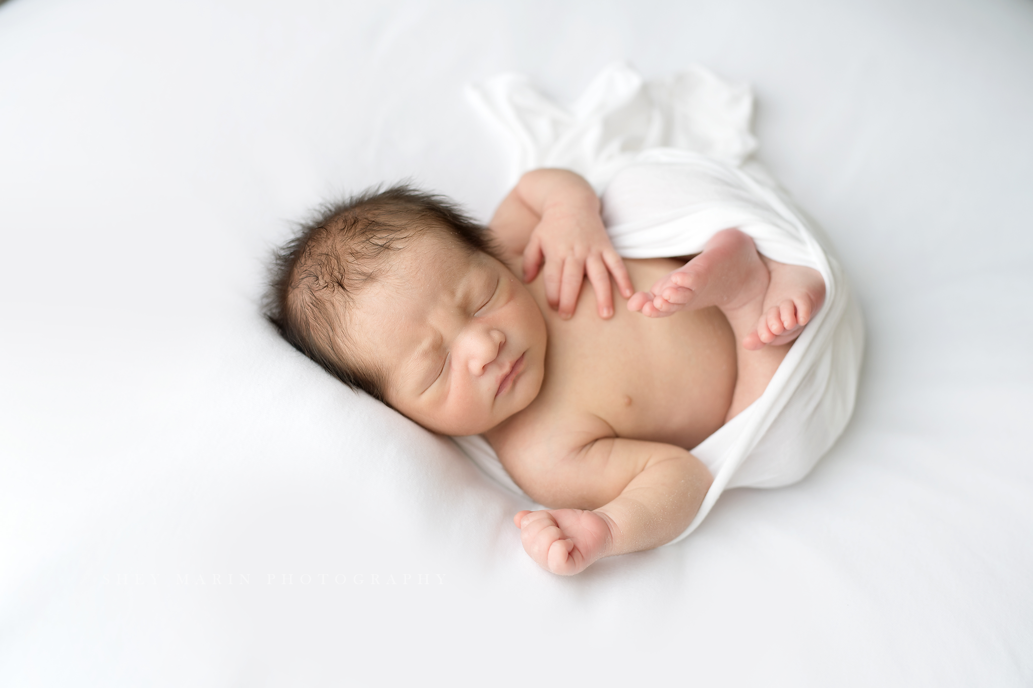 Frederick Maryland newborn baby photo session