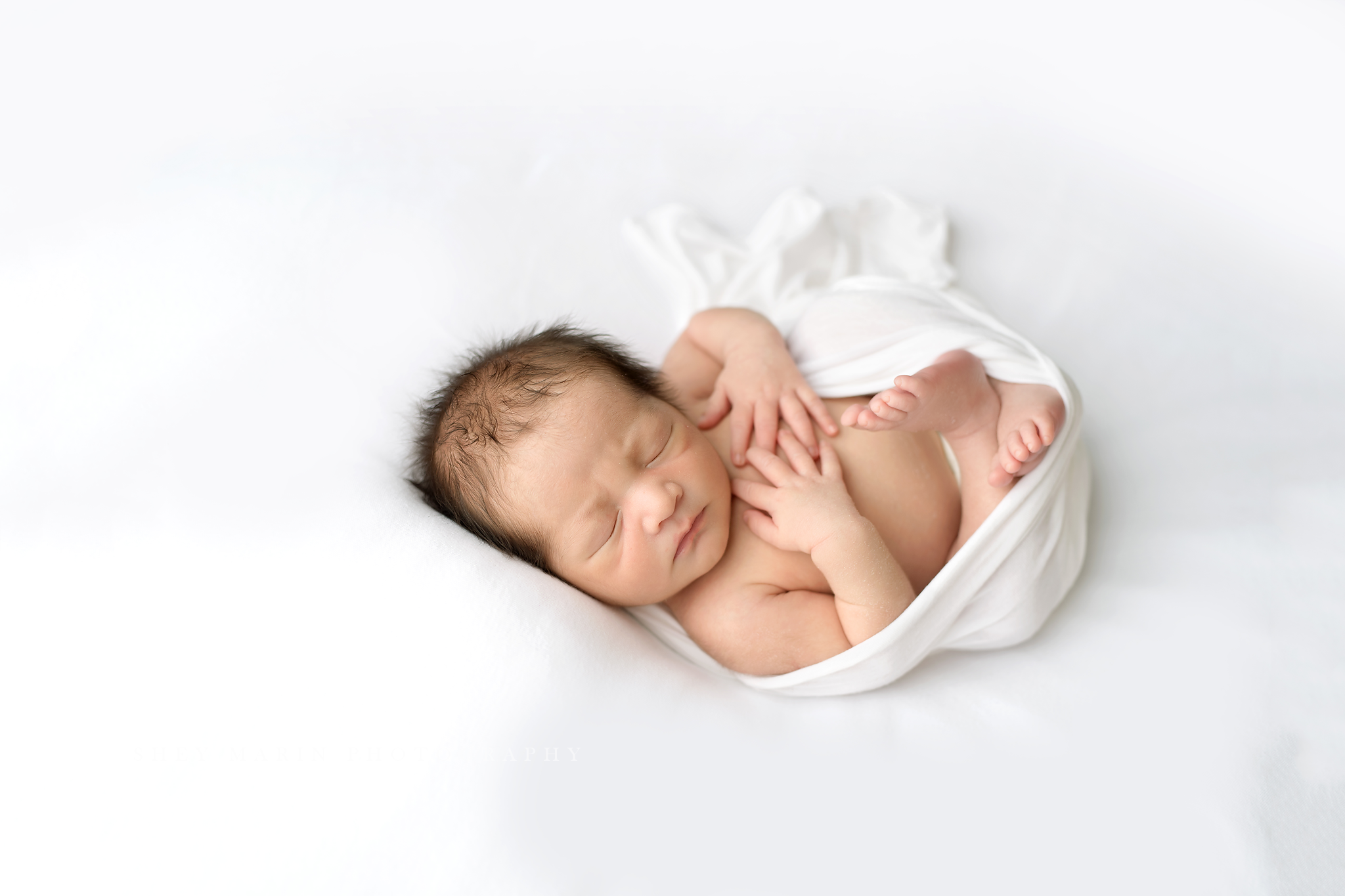 Frederick Maryland newborn baby photo session