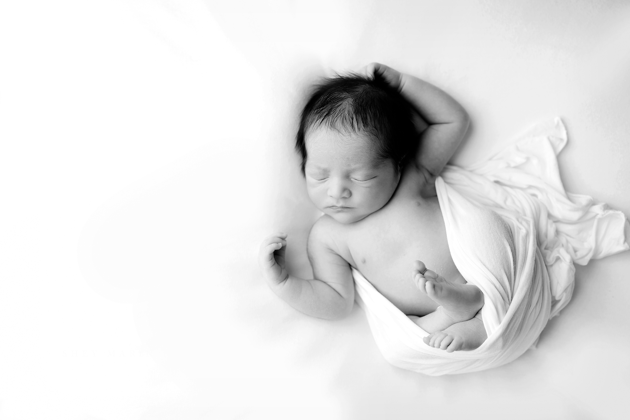 Frederick Maryland newborn baby photo session