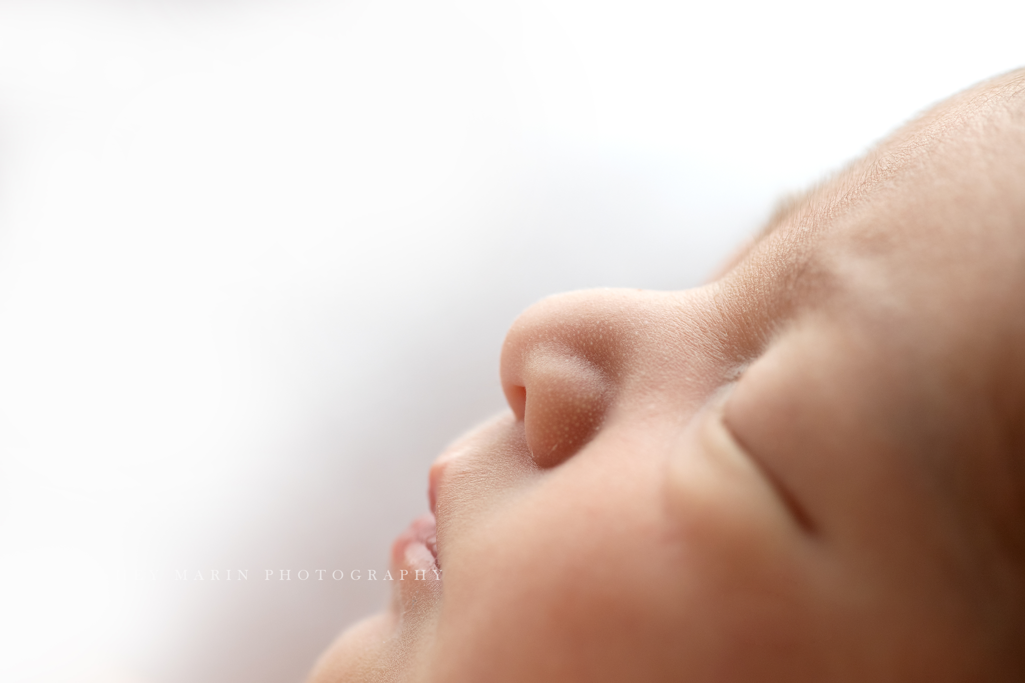 Frederick Maryland newborn baby photo session