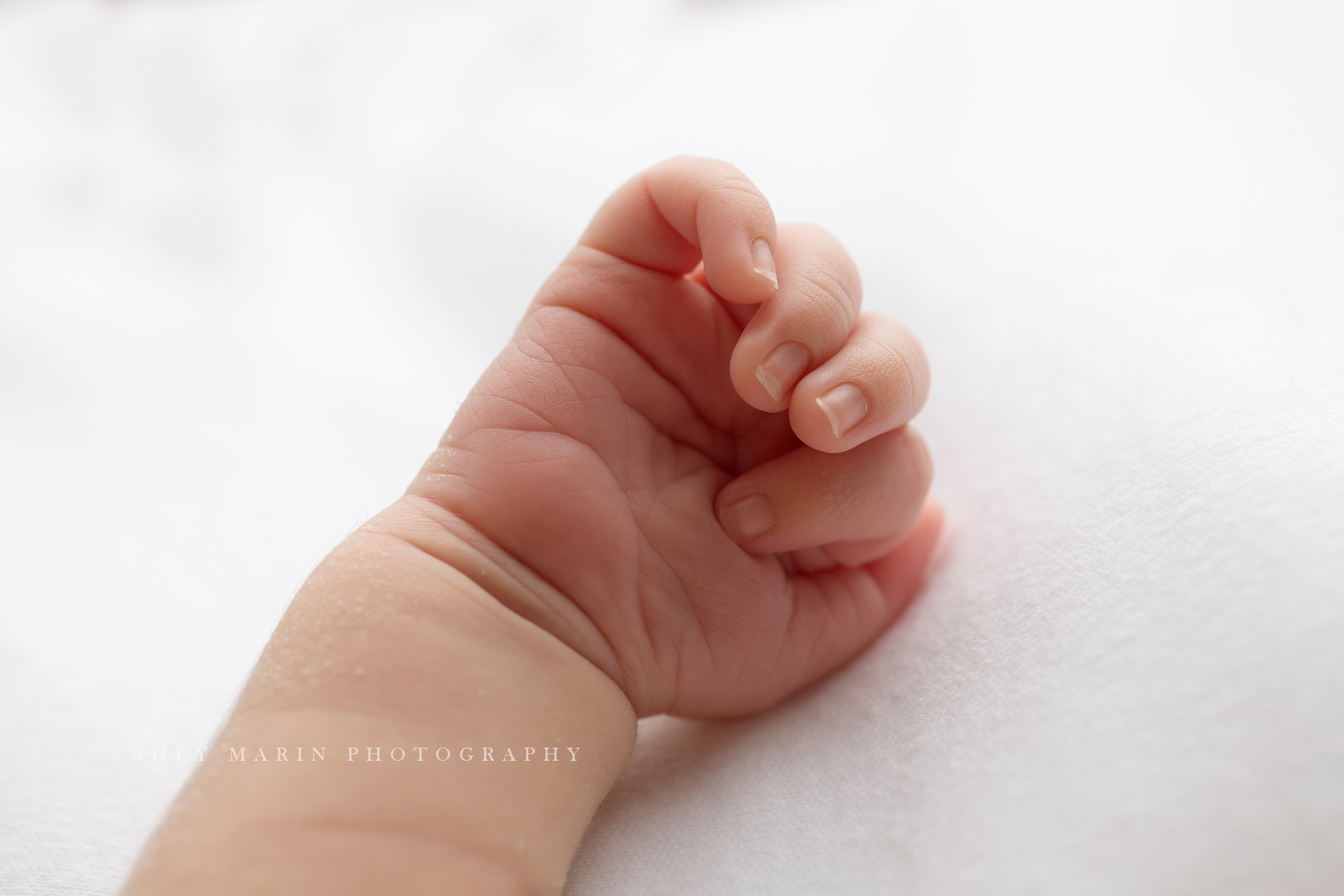 Frederick Maryland newborn baby photo session