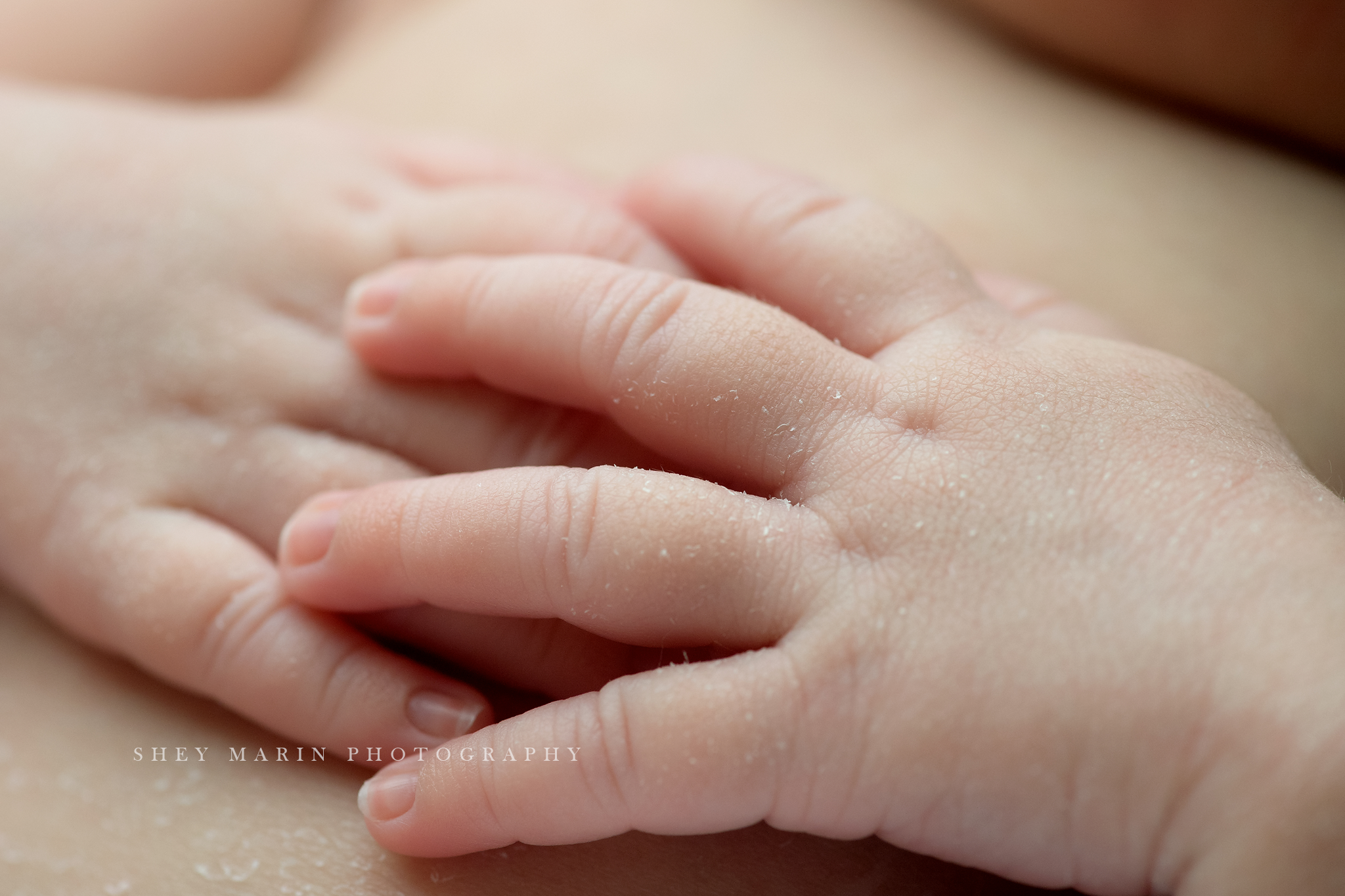 Frederick Maryland newborn baby photo session