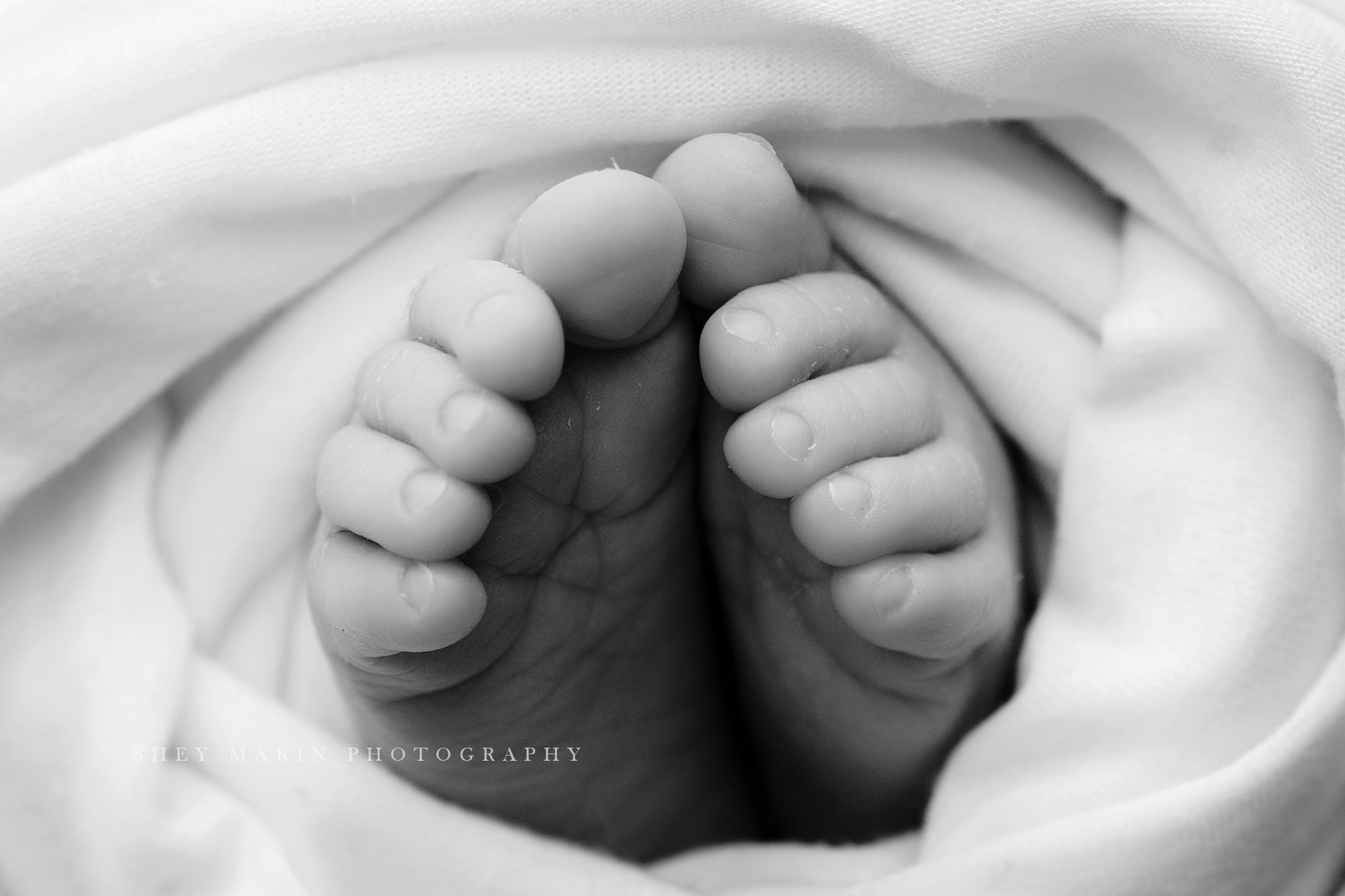 Frederick Maryland newborn baby photo session