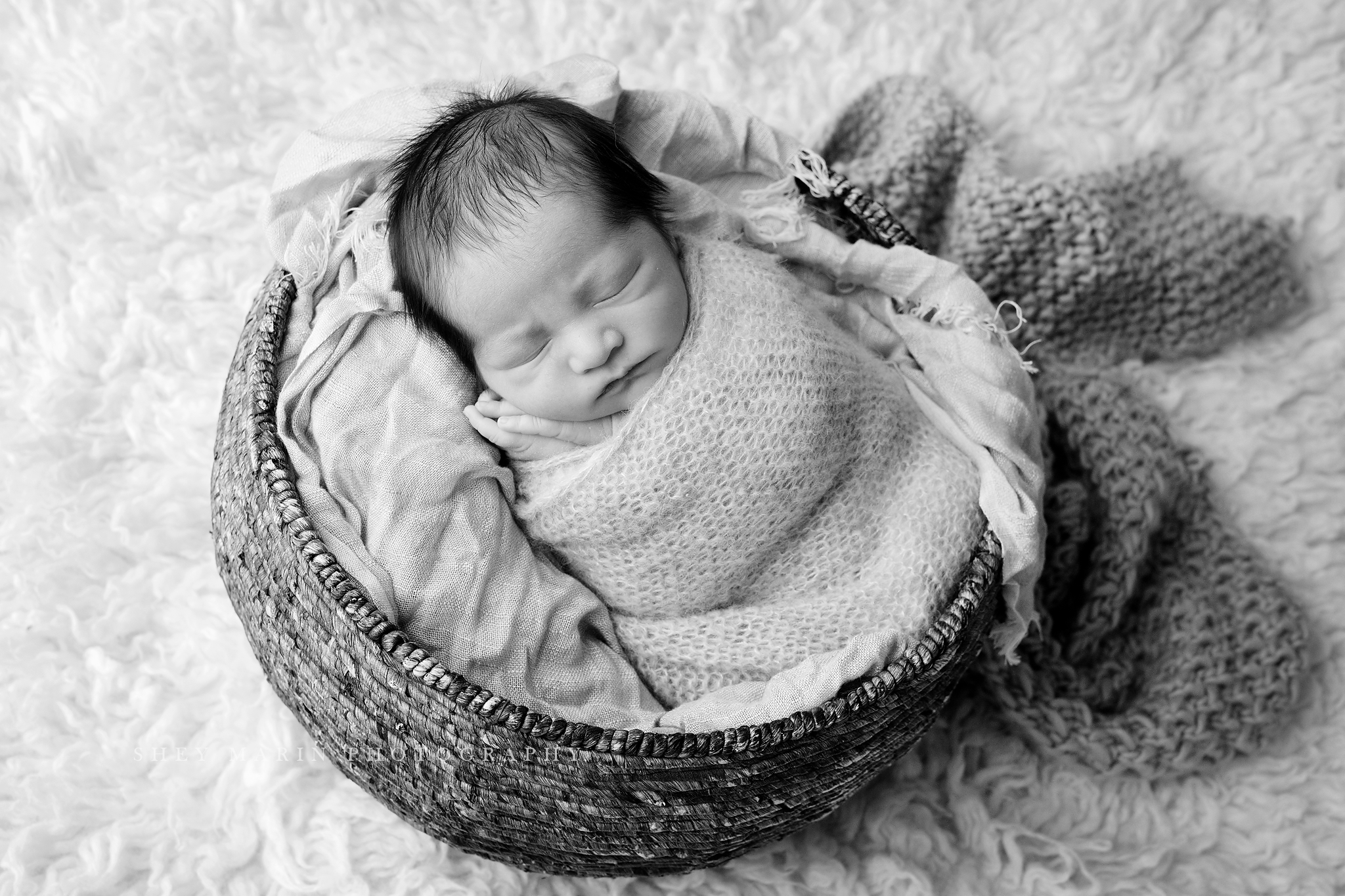 Frederick Maryland newborn baby photo session