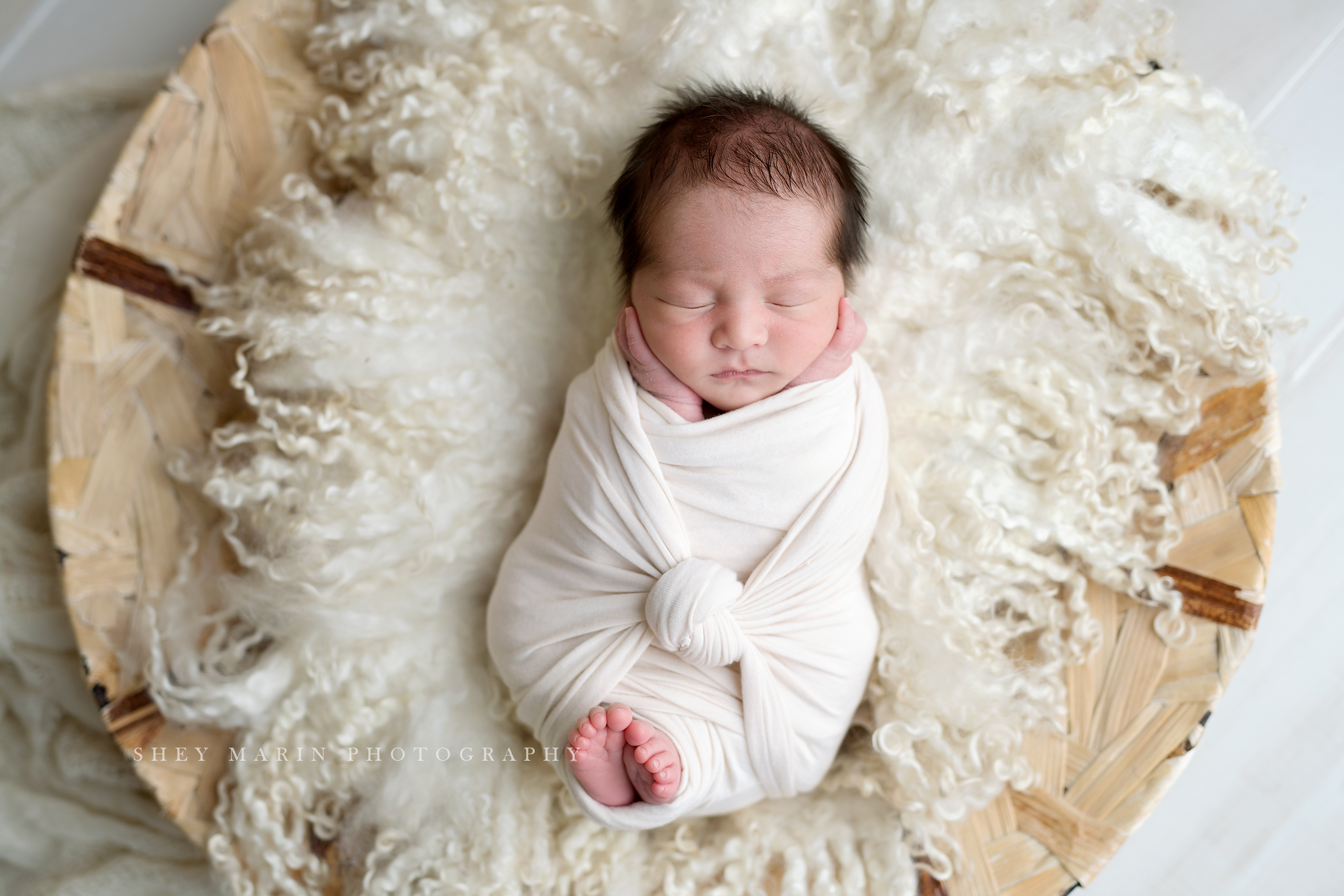 Frederick Maryland newborn baby photo session