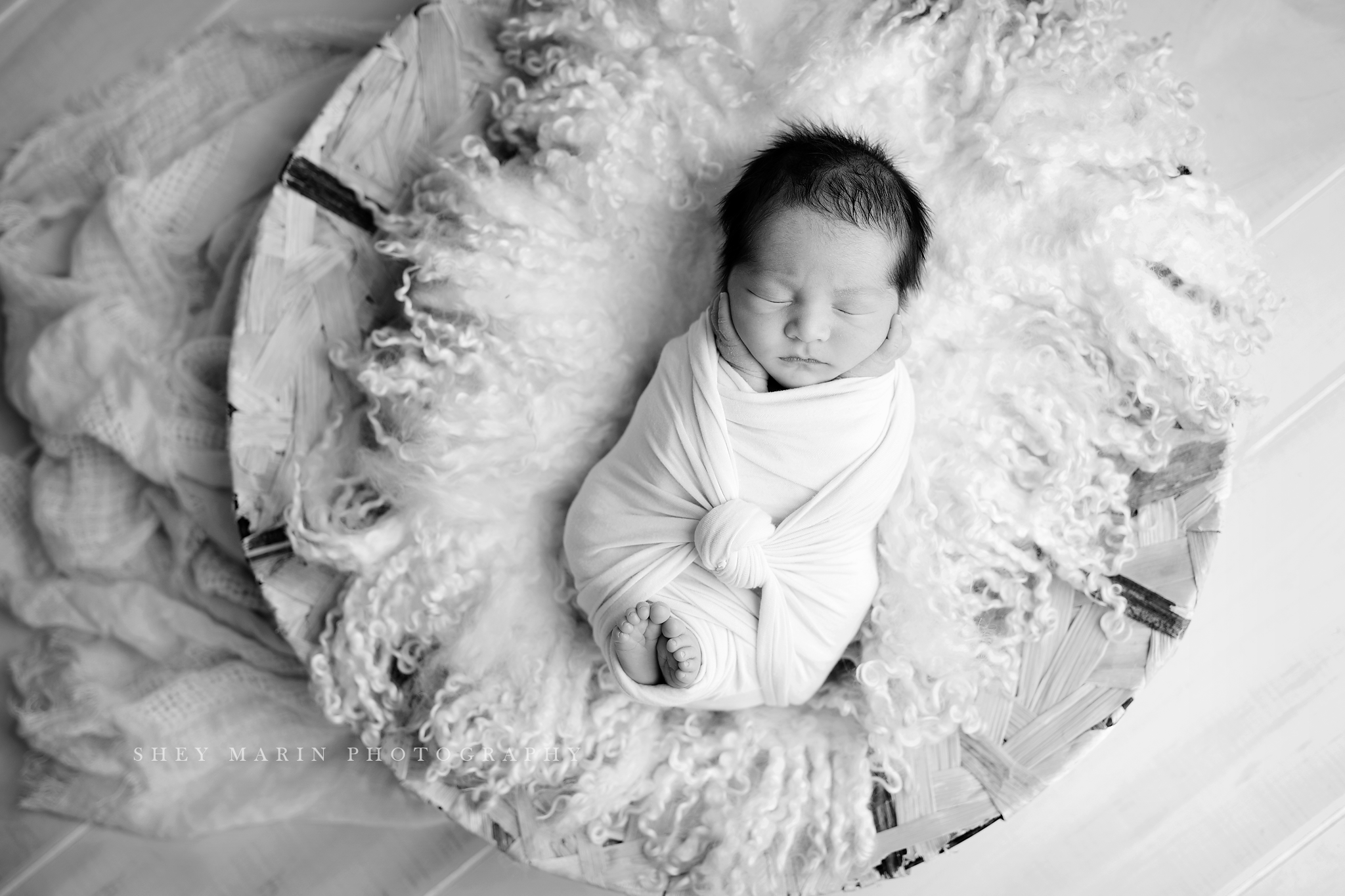 Frederick Maryland newborn baby photo session