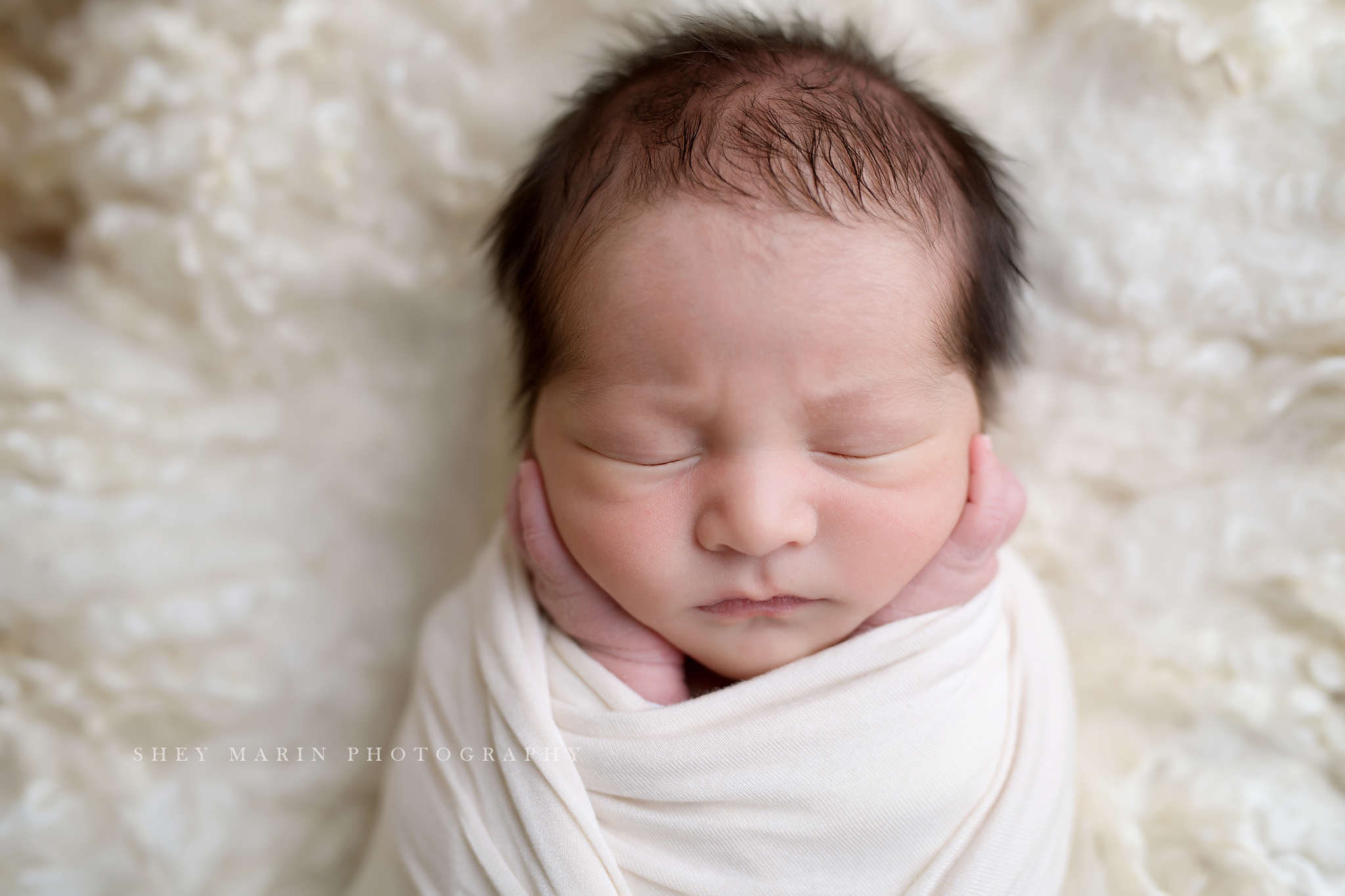 Frederick Maryland newborn baby photo session