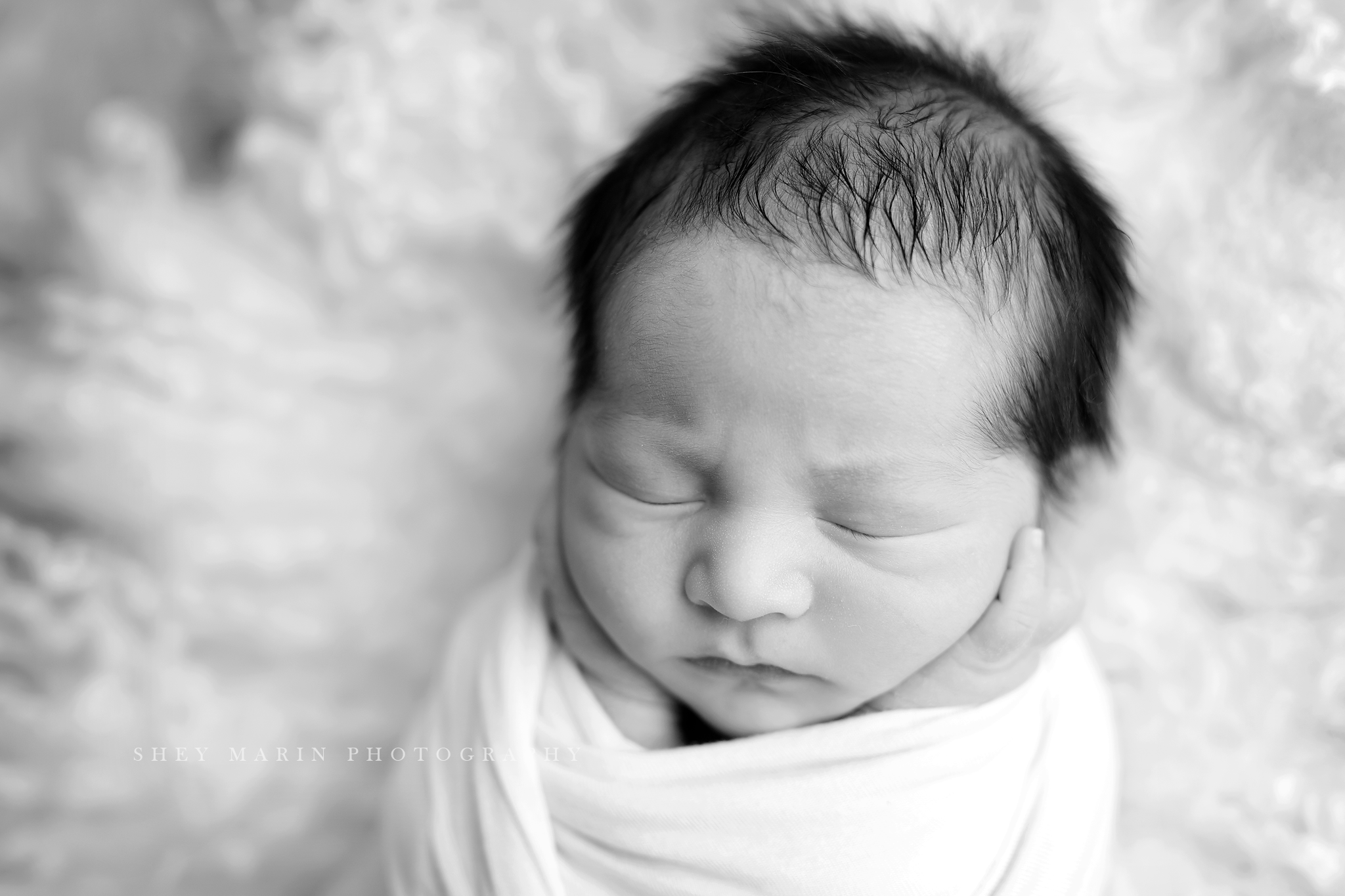 Frederick Maryland newborn baby photo session