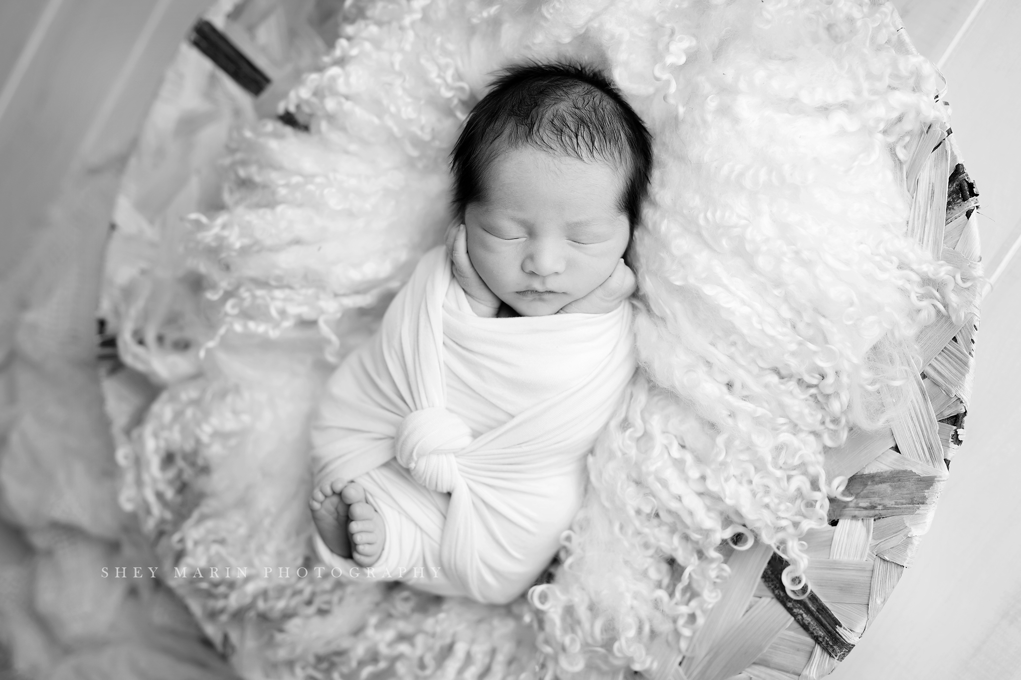 Frederick Maryland newborn baby photo session