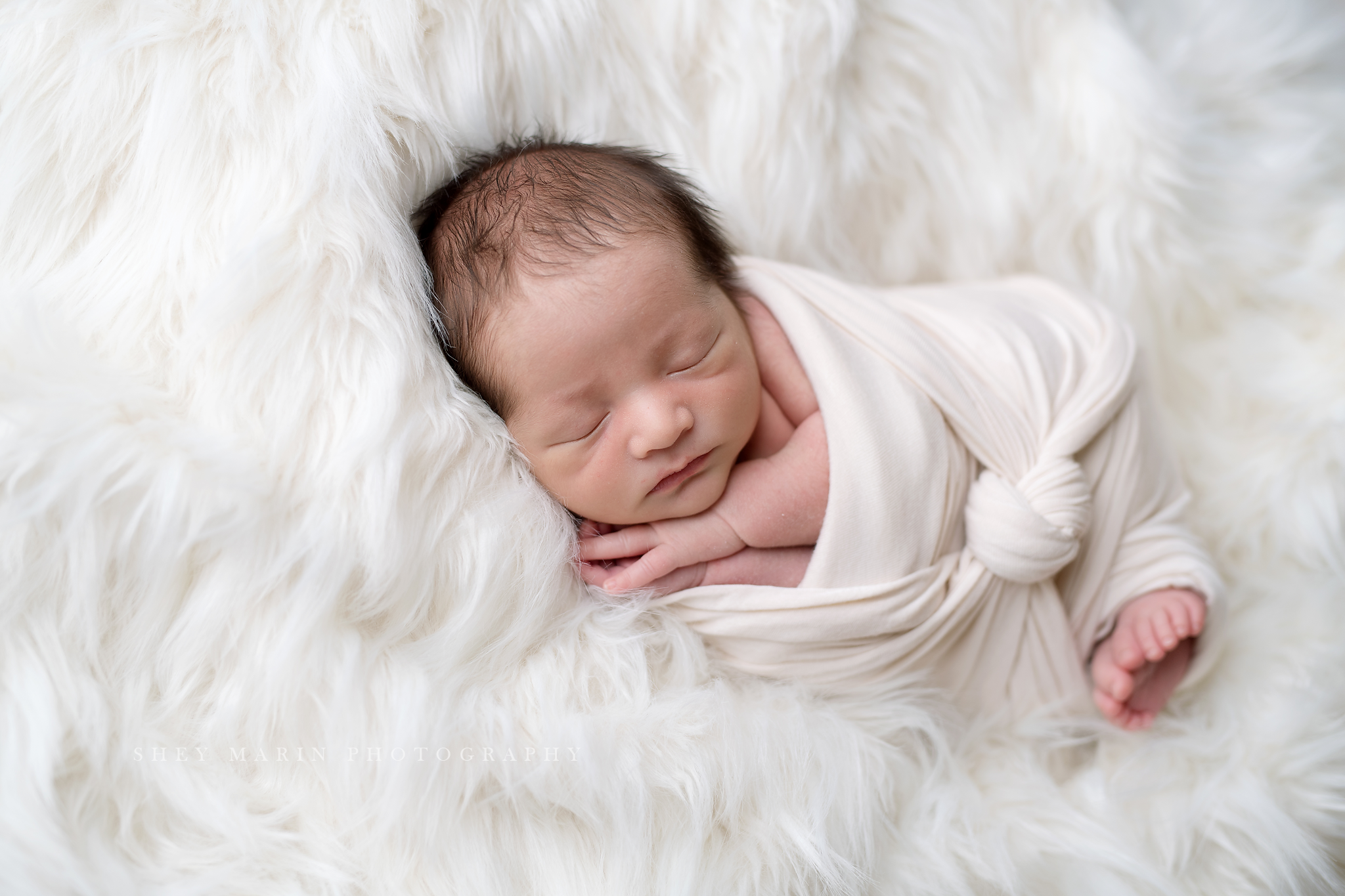 Frederick Maryland newborn baby photo session