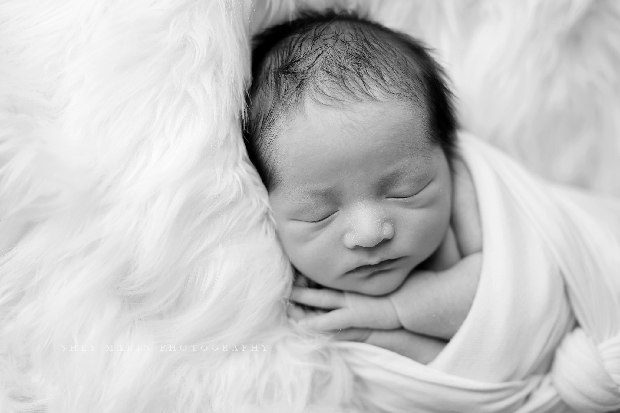 Frederick Maryland newborn baby photo session