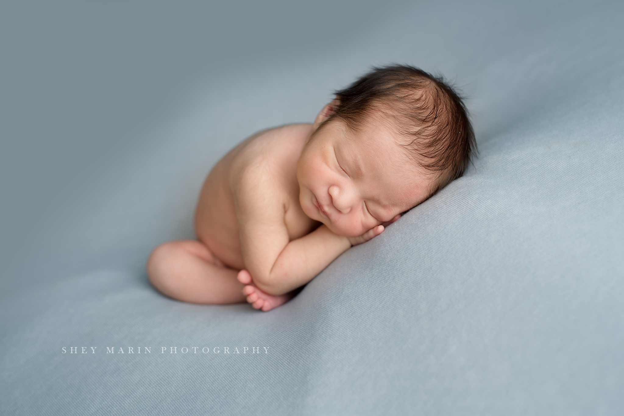 Frederick Maryland newborn baby photo session