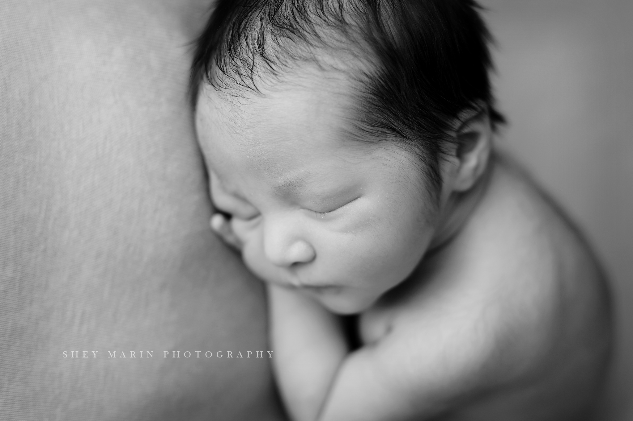 Frederick Maryland newborn baby photo session