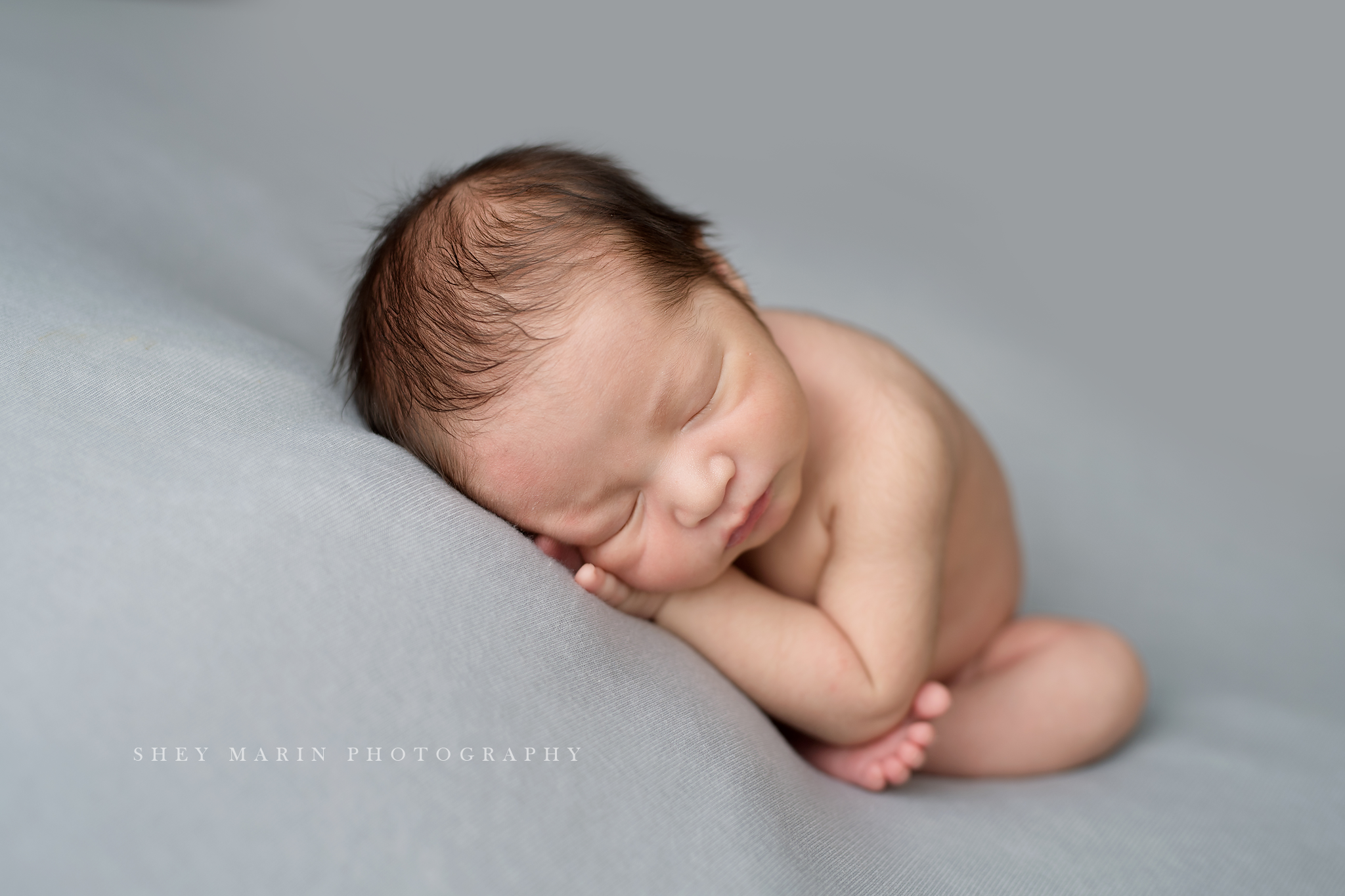 Frederick Maryland newborn baby photo session