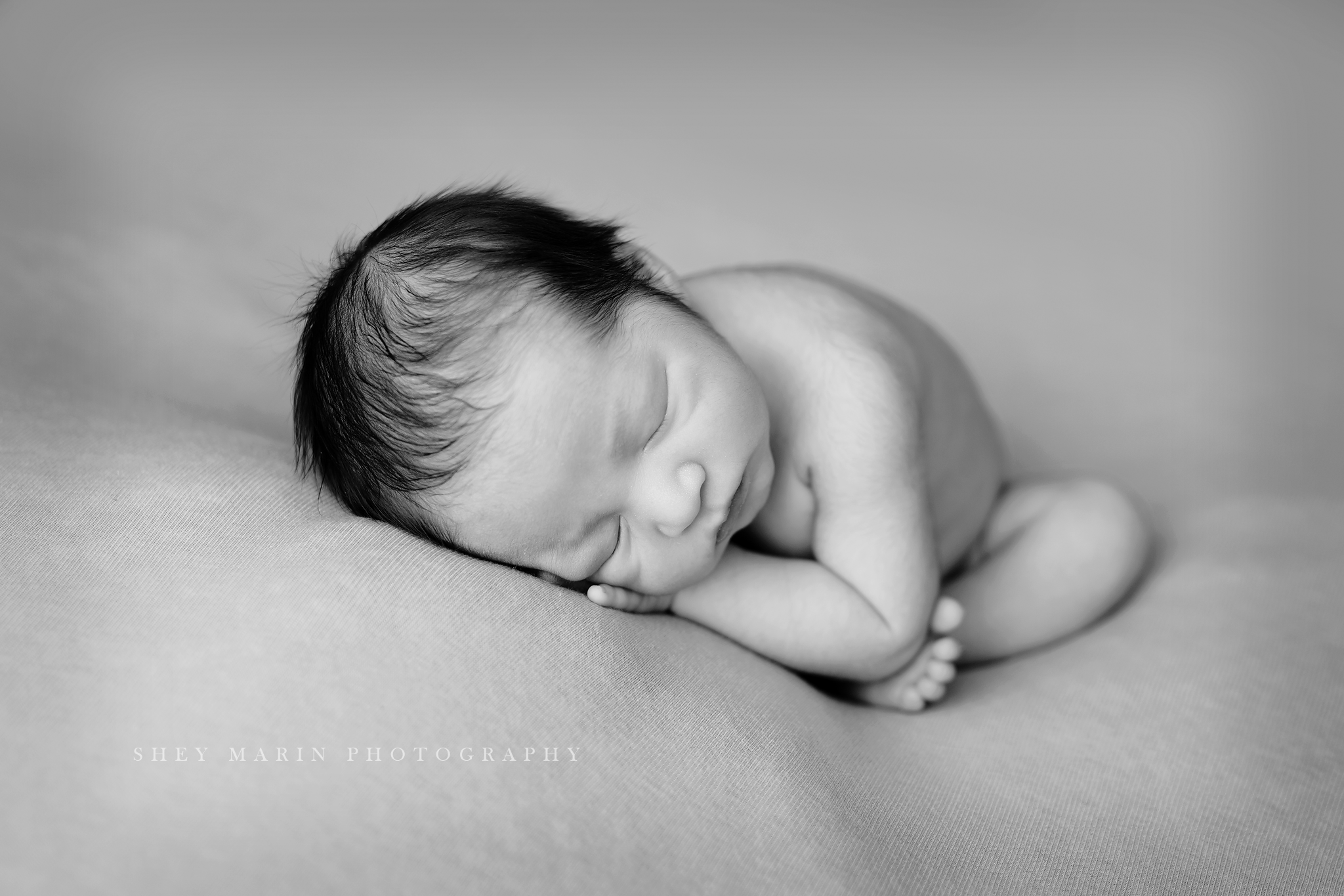 Frederick Maryland newborn baby photo session