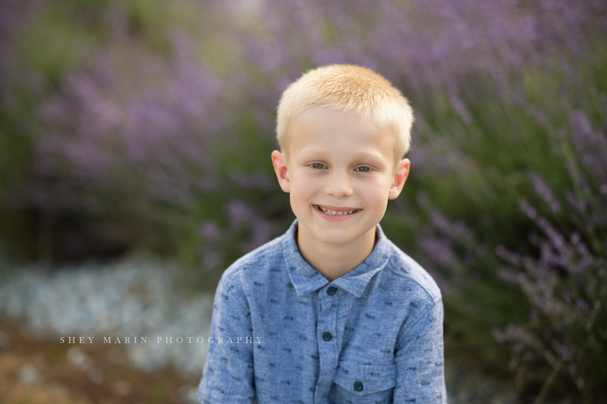 lavender field frederick maryland family photo session