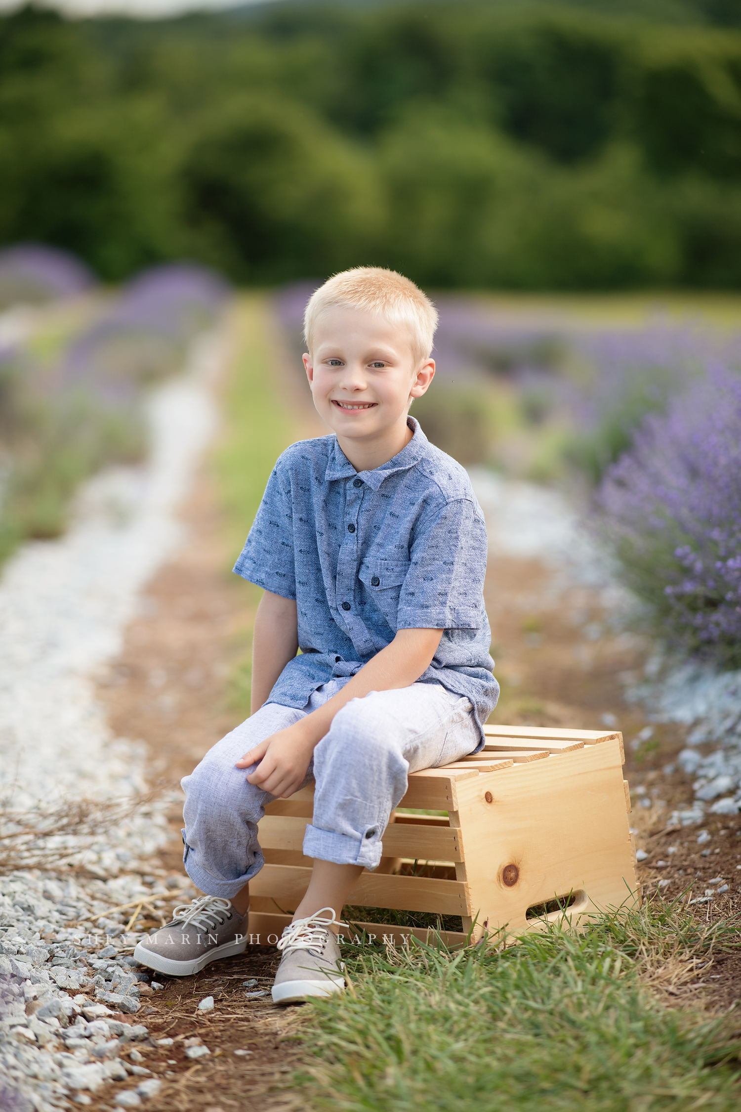 lavender field frederick maryland family photo session