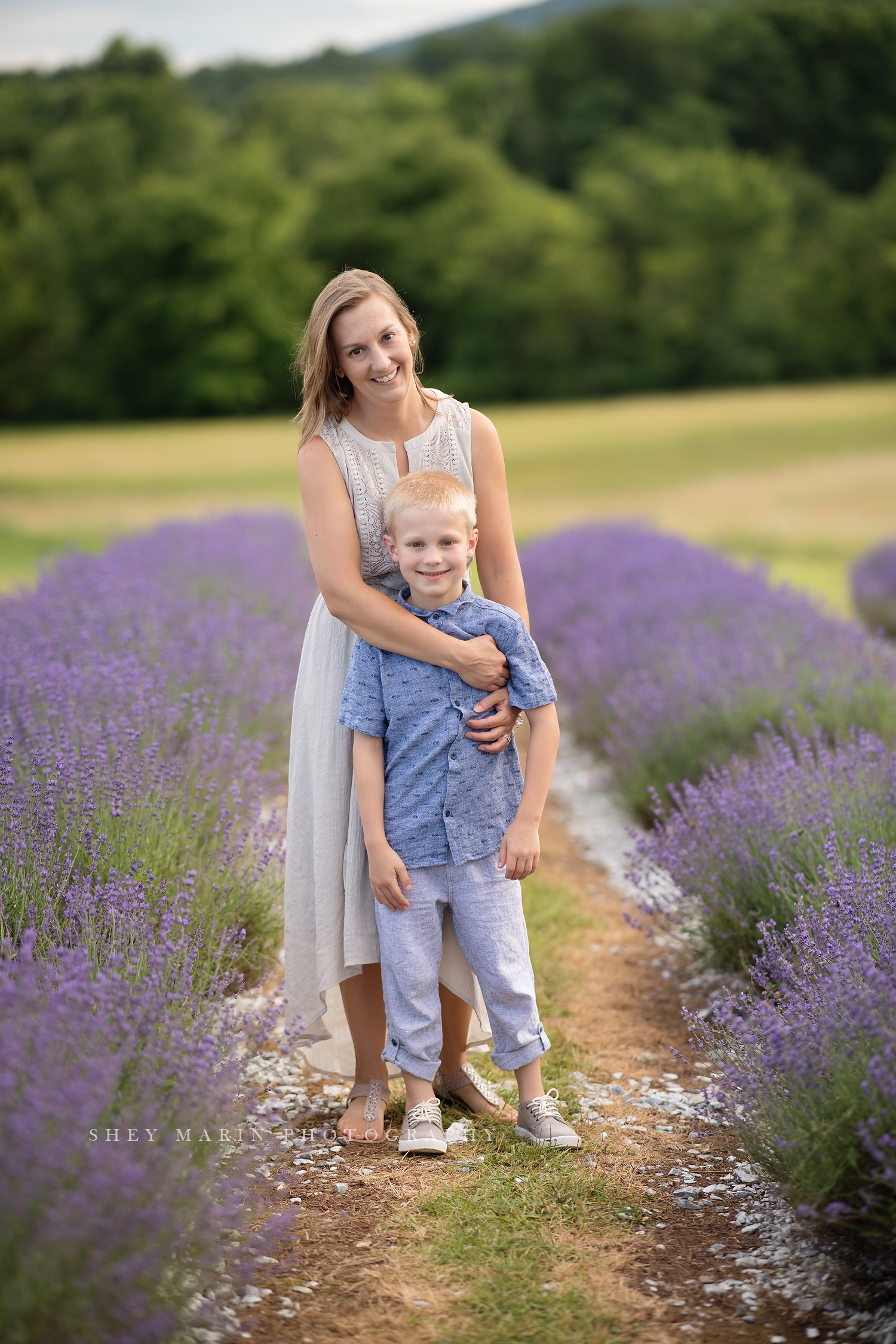 lavender field frederick maryland family photo session