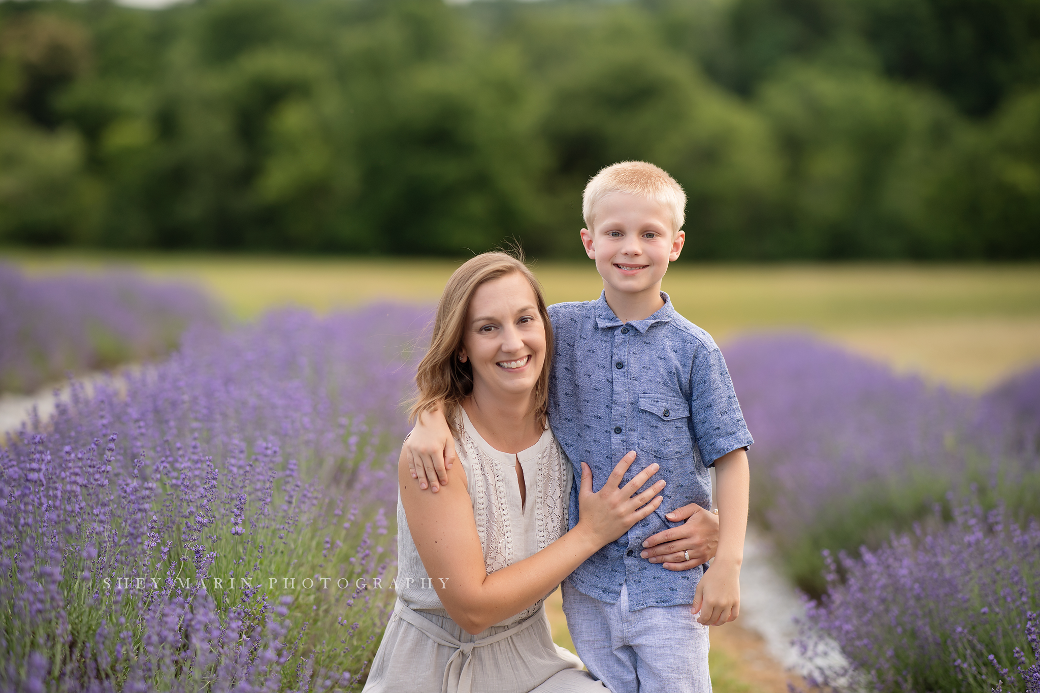 lavender field frederick maryland family photo session