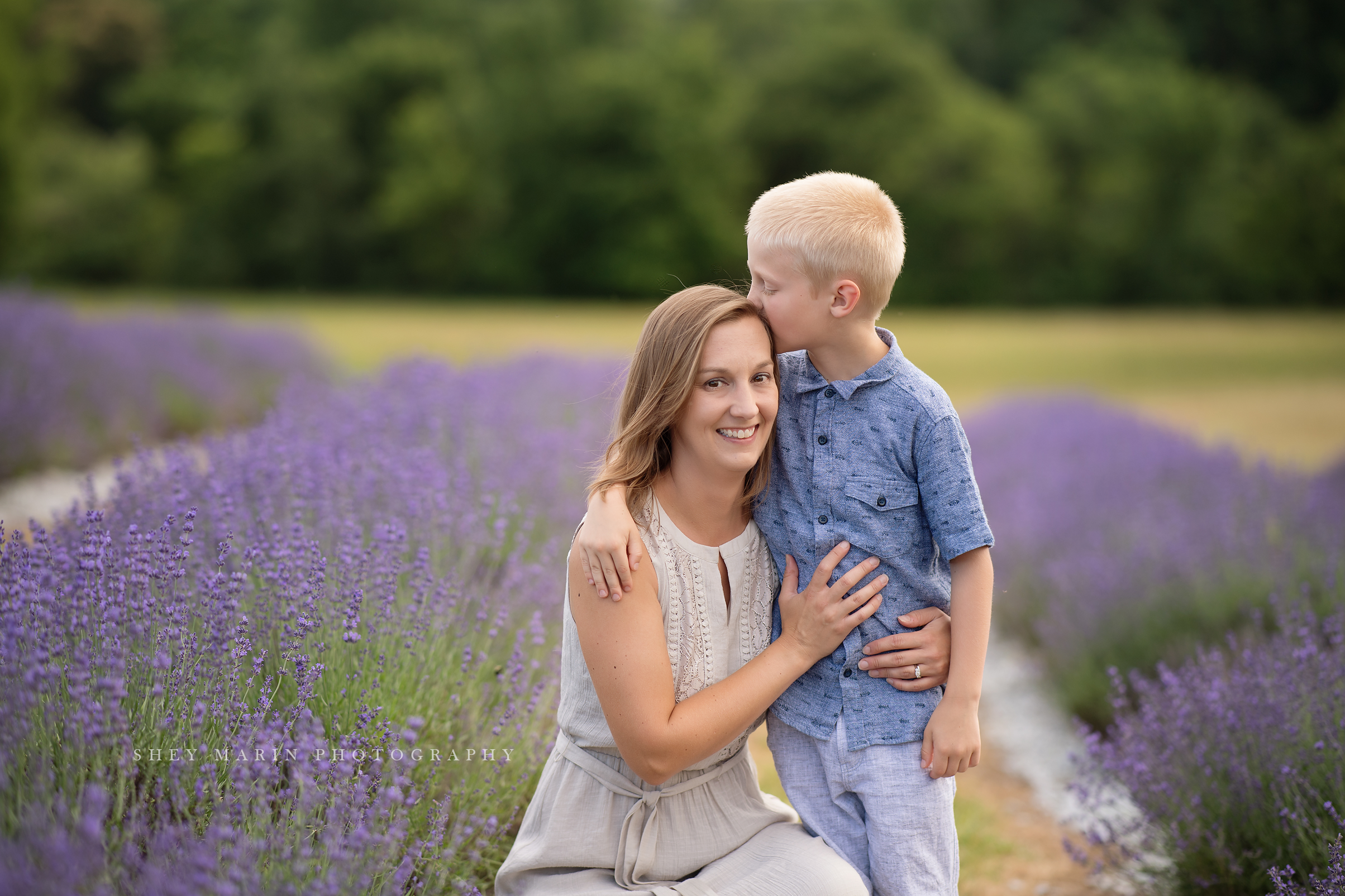 lavender field frederick maryland family photo session