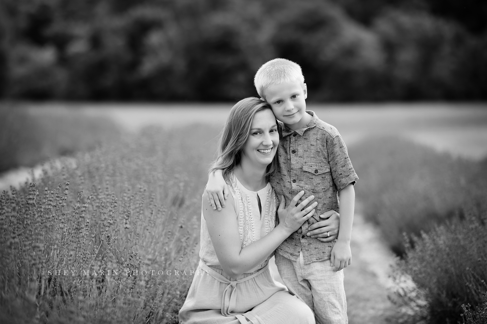 lavender field frederick maryland family photo session