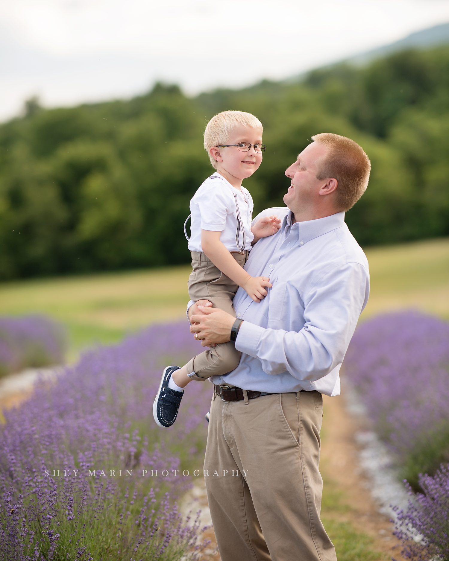 lavender field frederick maryland family photo session