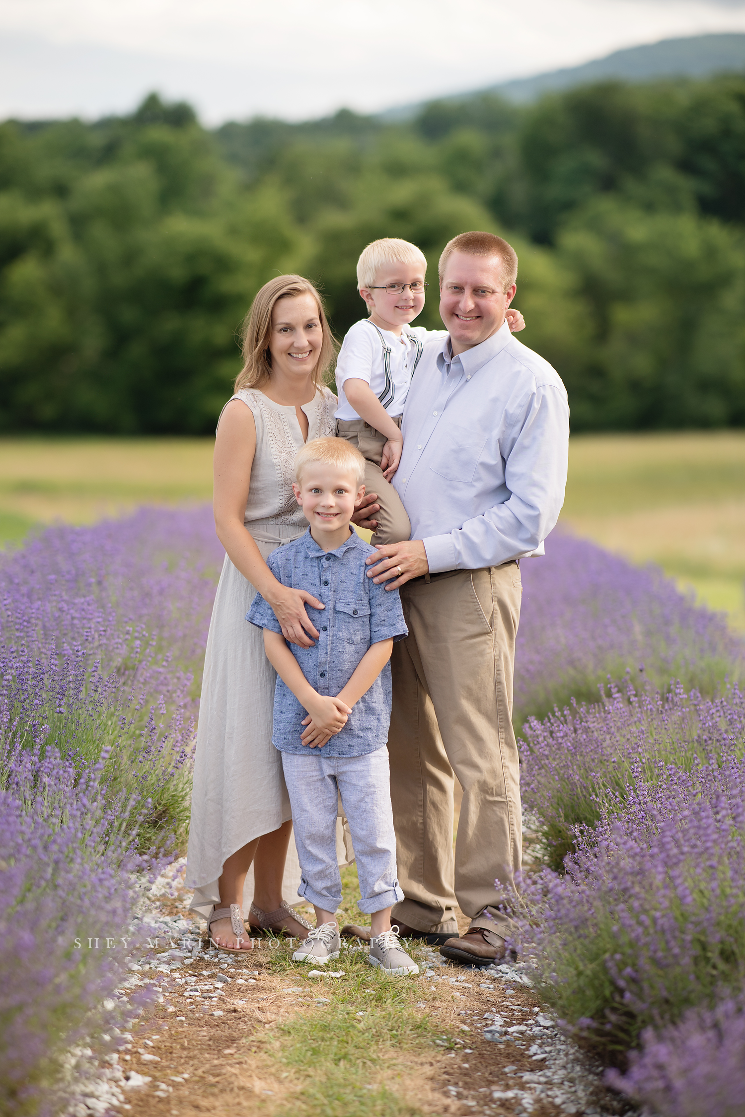 lavender field frederick maryland family photo session